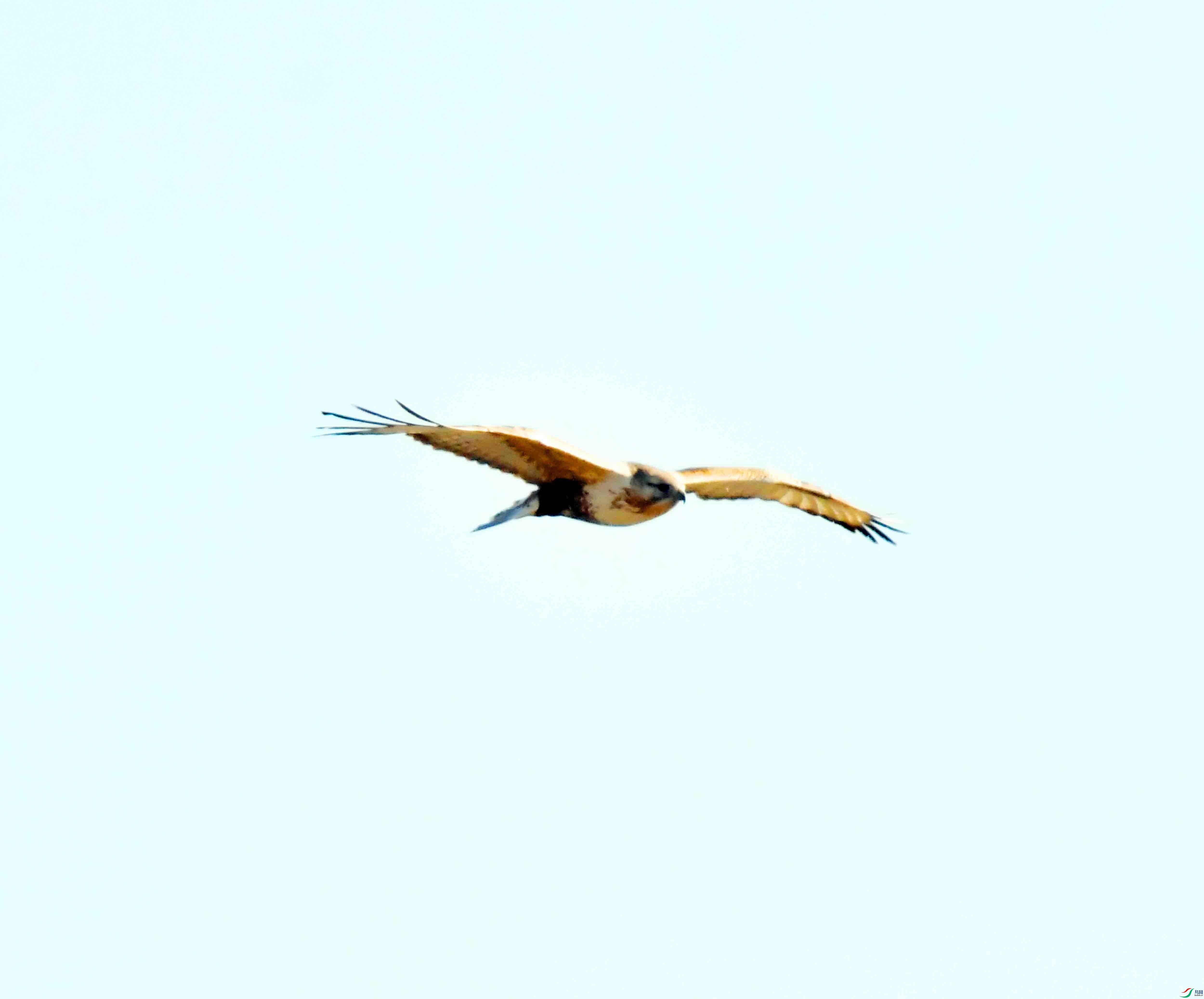 DSC_9062.JPG