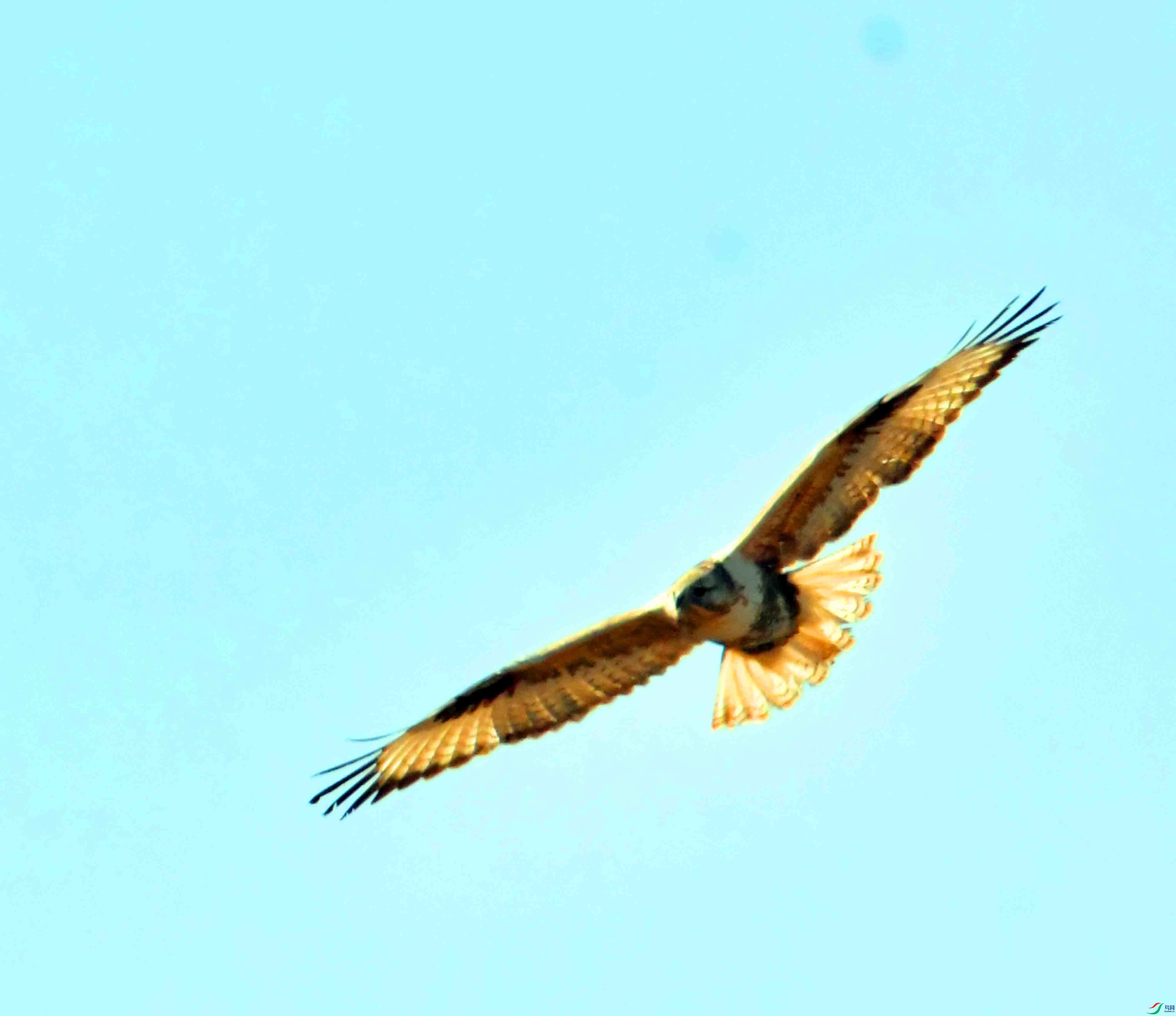 DSC_9367.JPG