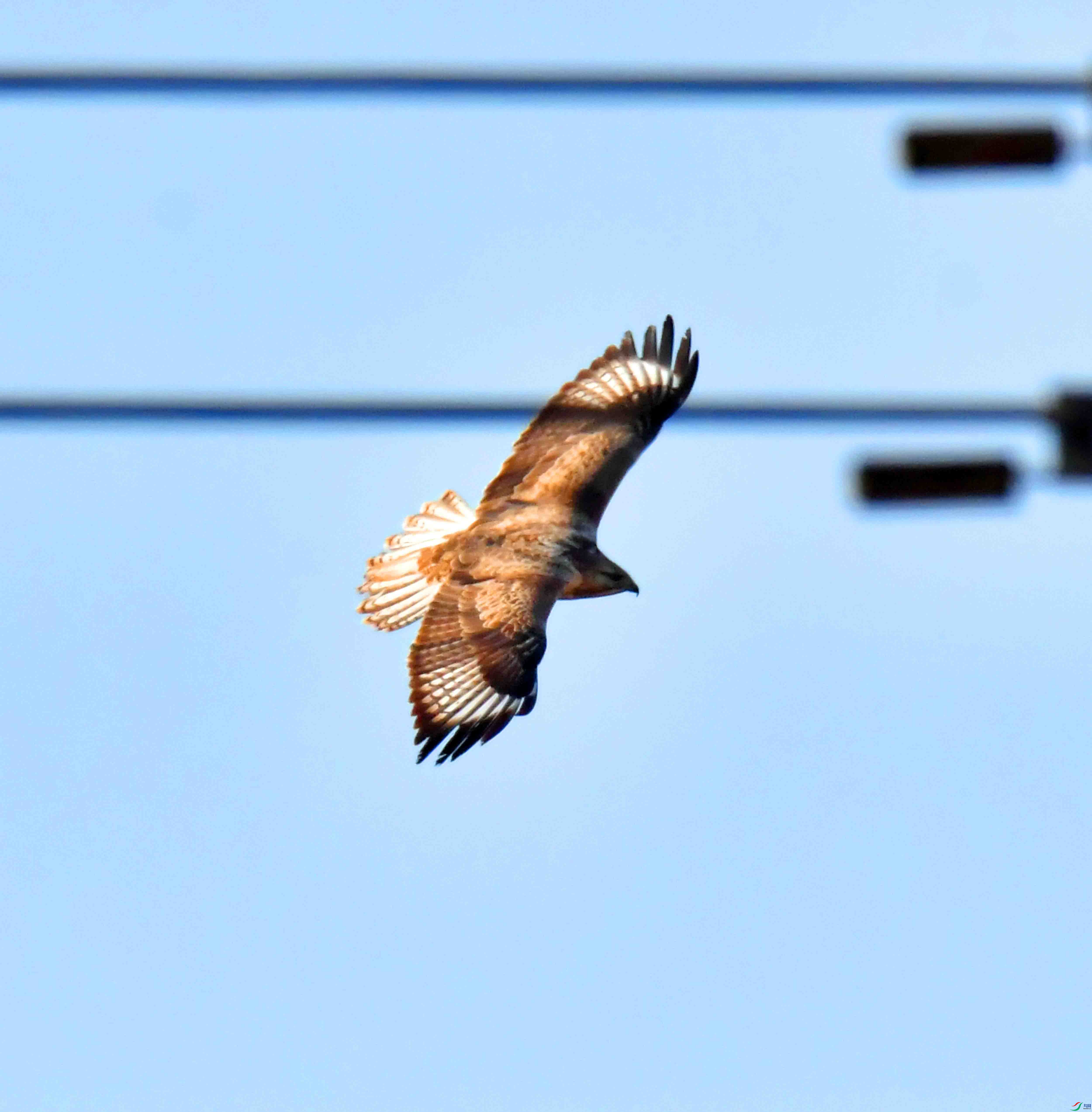 DSC_9389.JPG