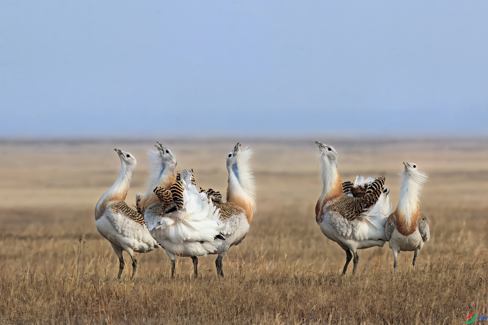 5.16����3161��ʦ��Ʒ   ��ս�裨ף���ٻ���Ӱʦ������.jpg