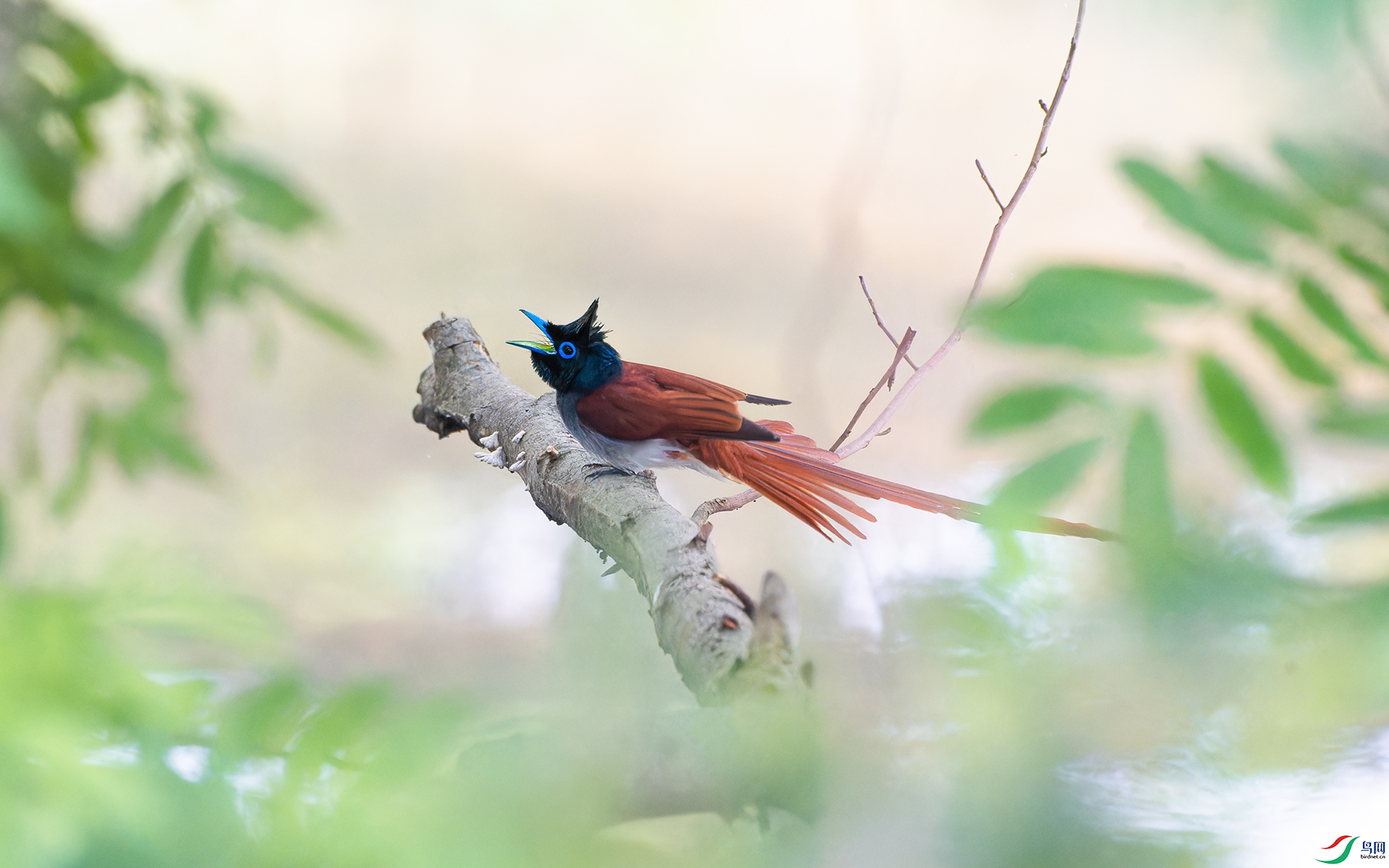 DSC_7046-NEF.jpg