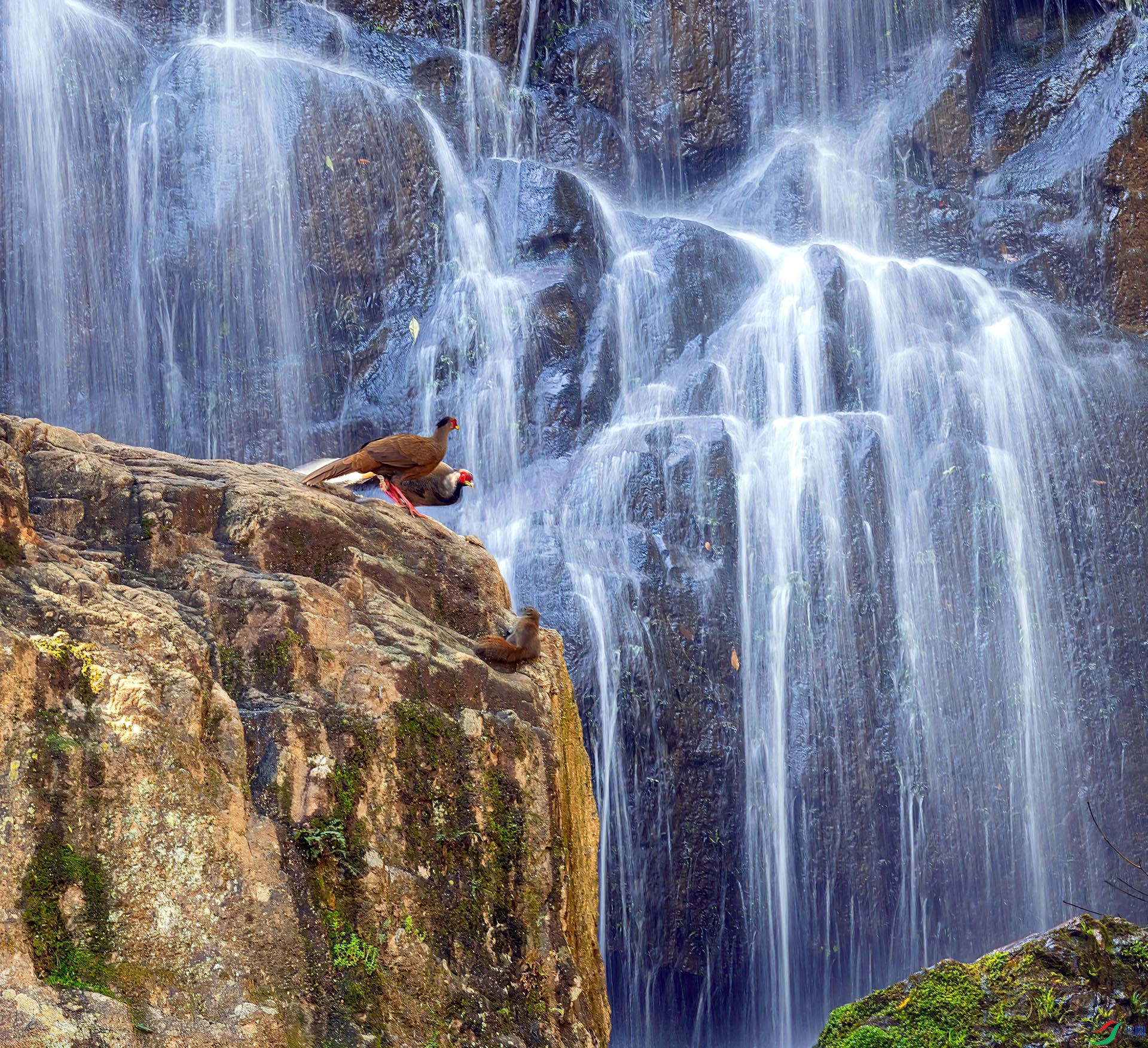 060A1294 ����-Sh----1 .jpg