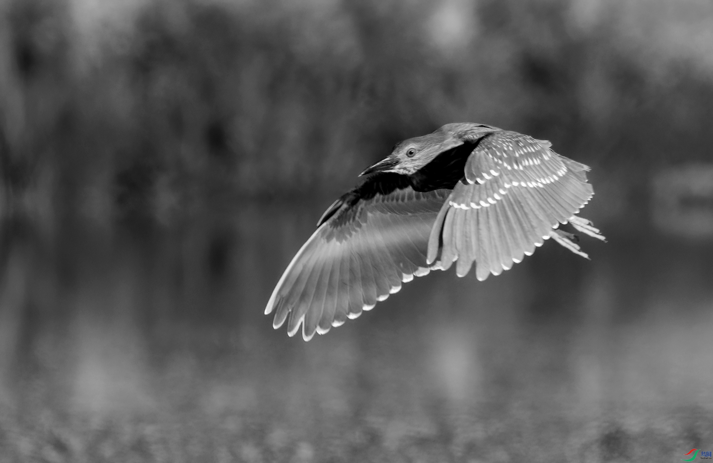 DSC07360 ����_����.jpg