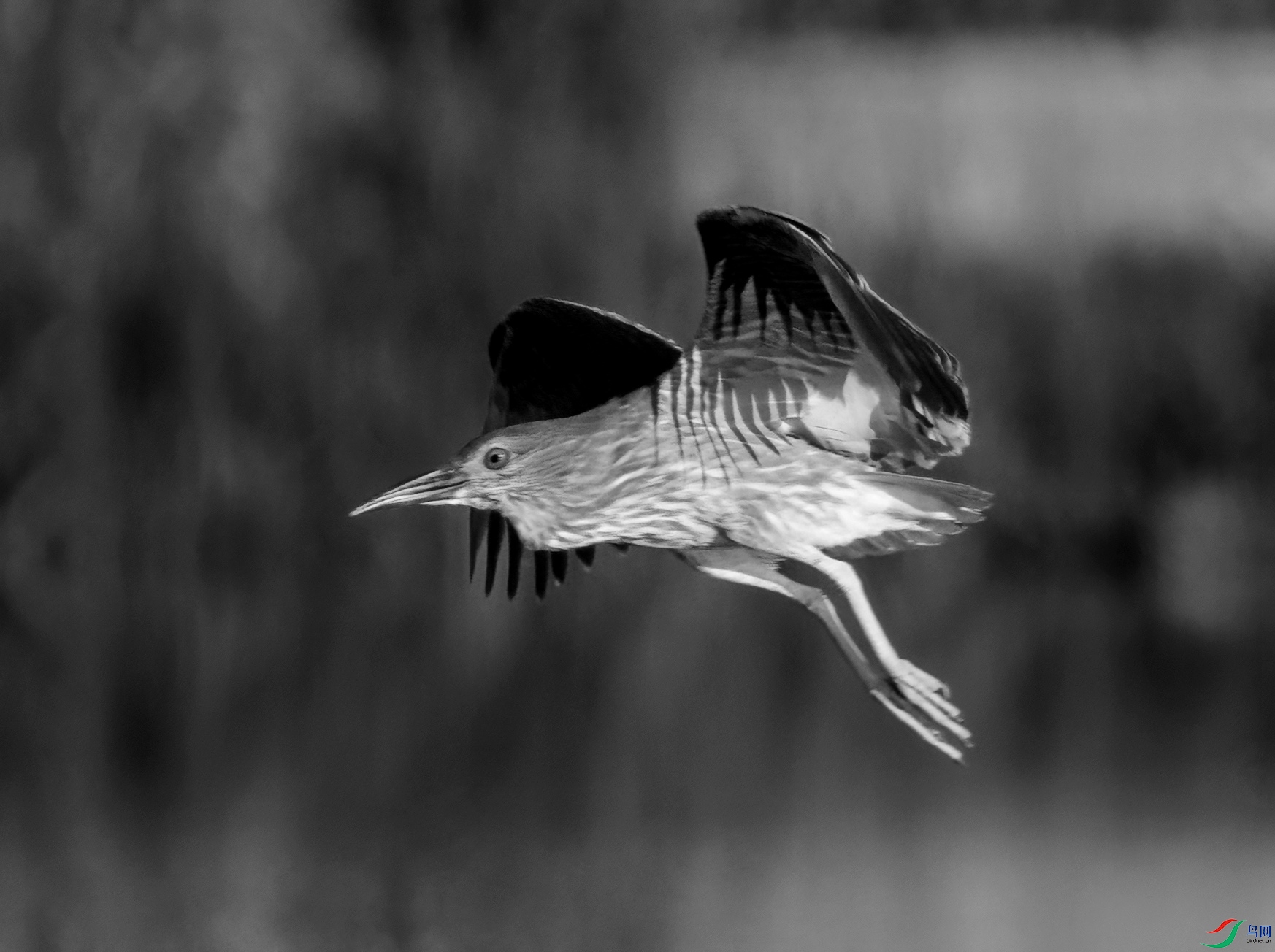 DSC07361 ����_����.jpg