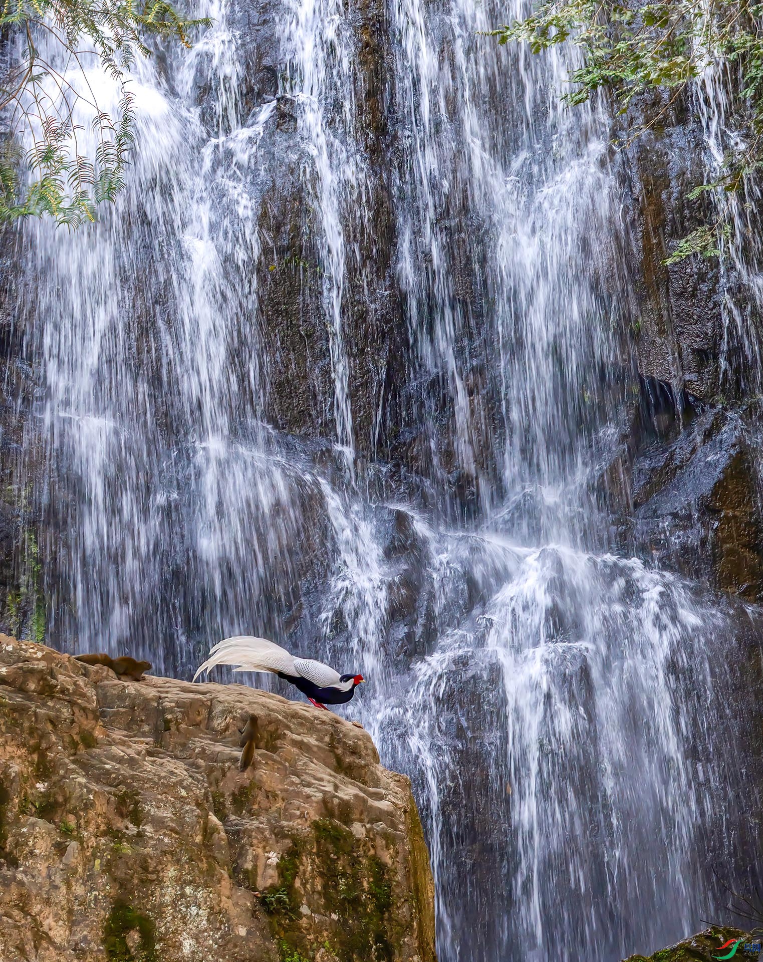 060A4508 ����-Sh---1 .jpg