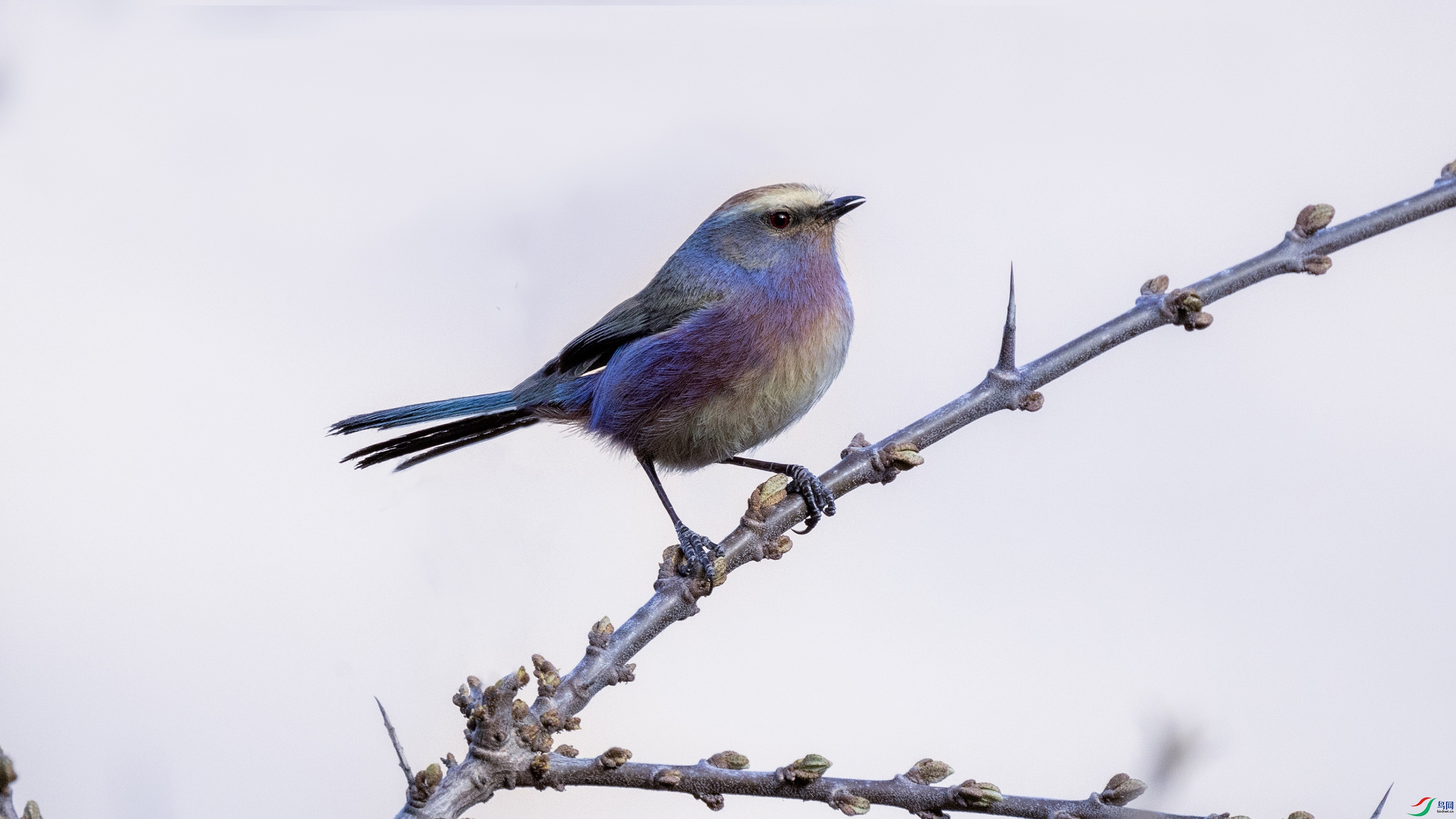 7X5A9541 ��6666.jpg