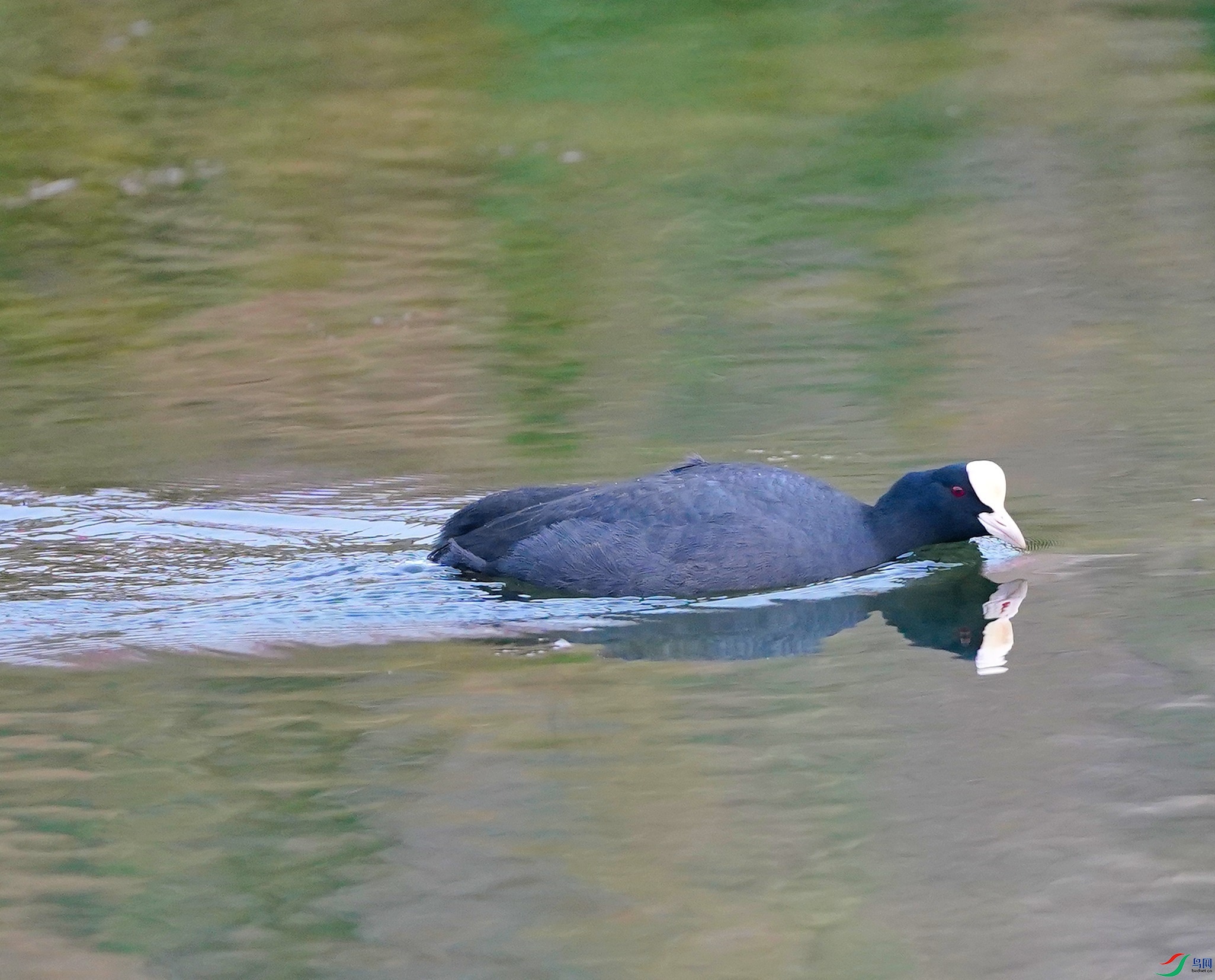 DSC08470.JPG