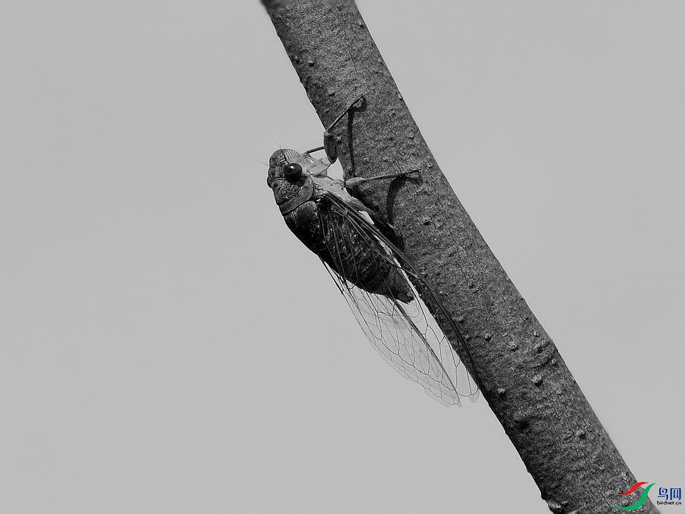 DSC_5089.JPG