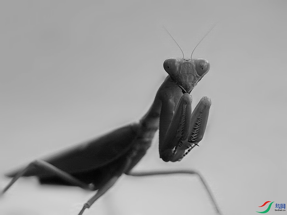 DSC_0185.JPG