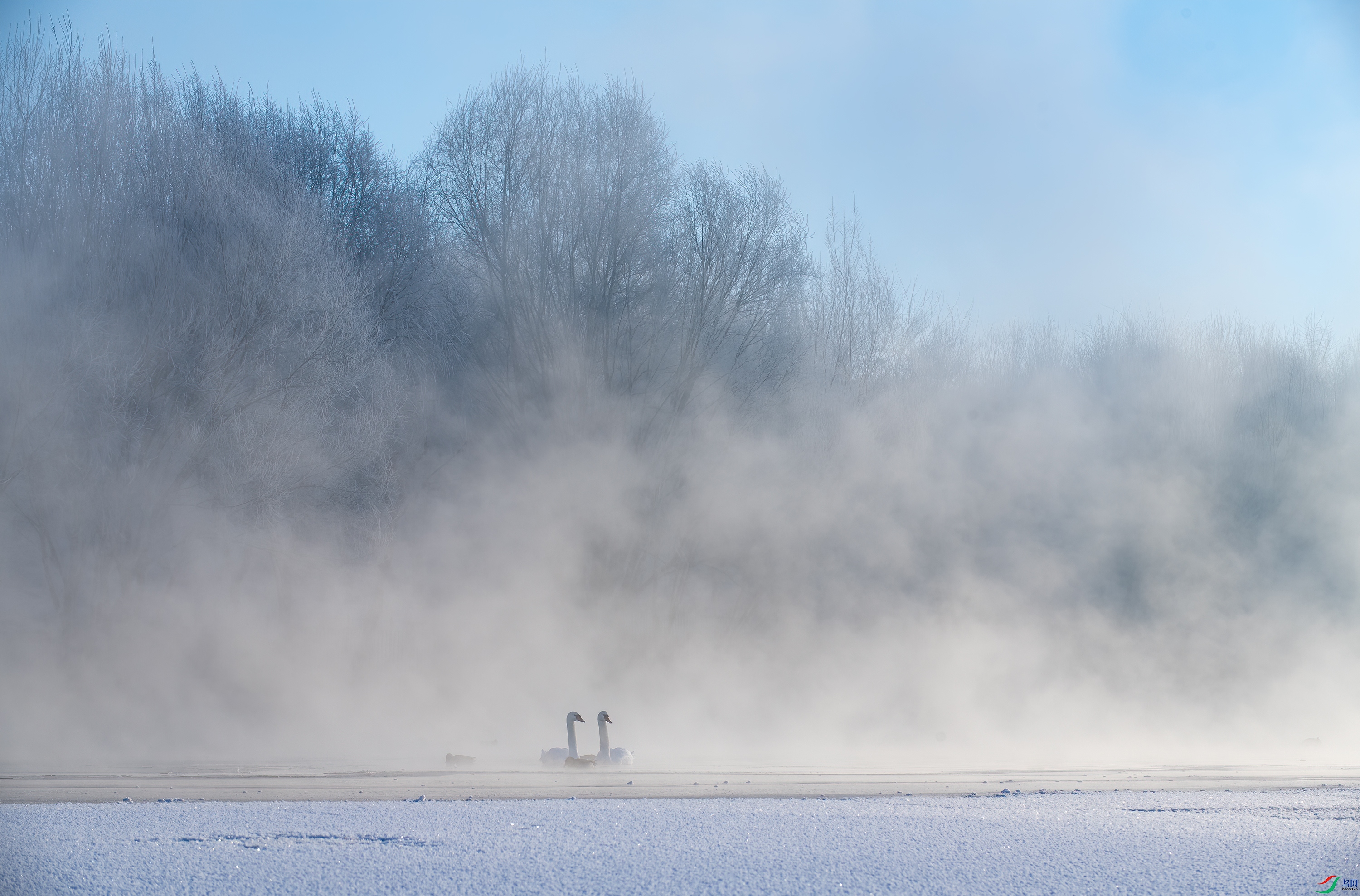 DSC_3750-1.jpg