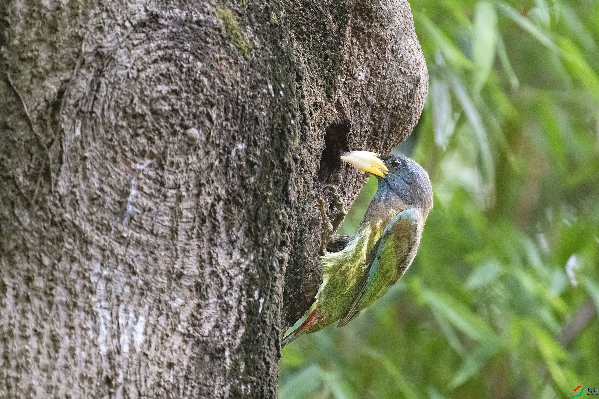 DSC_5698.jpg