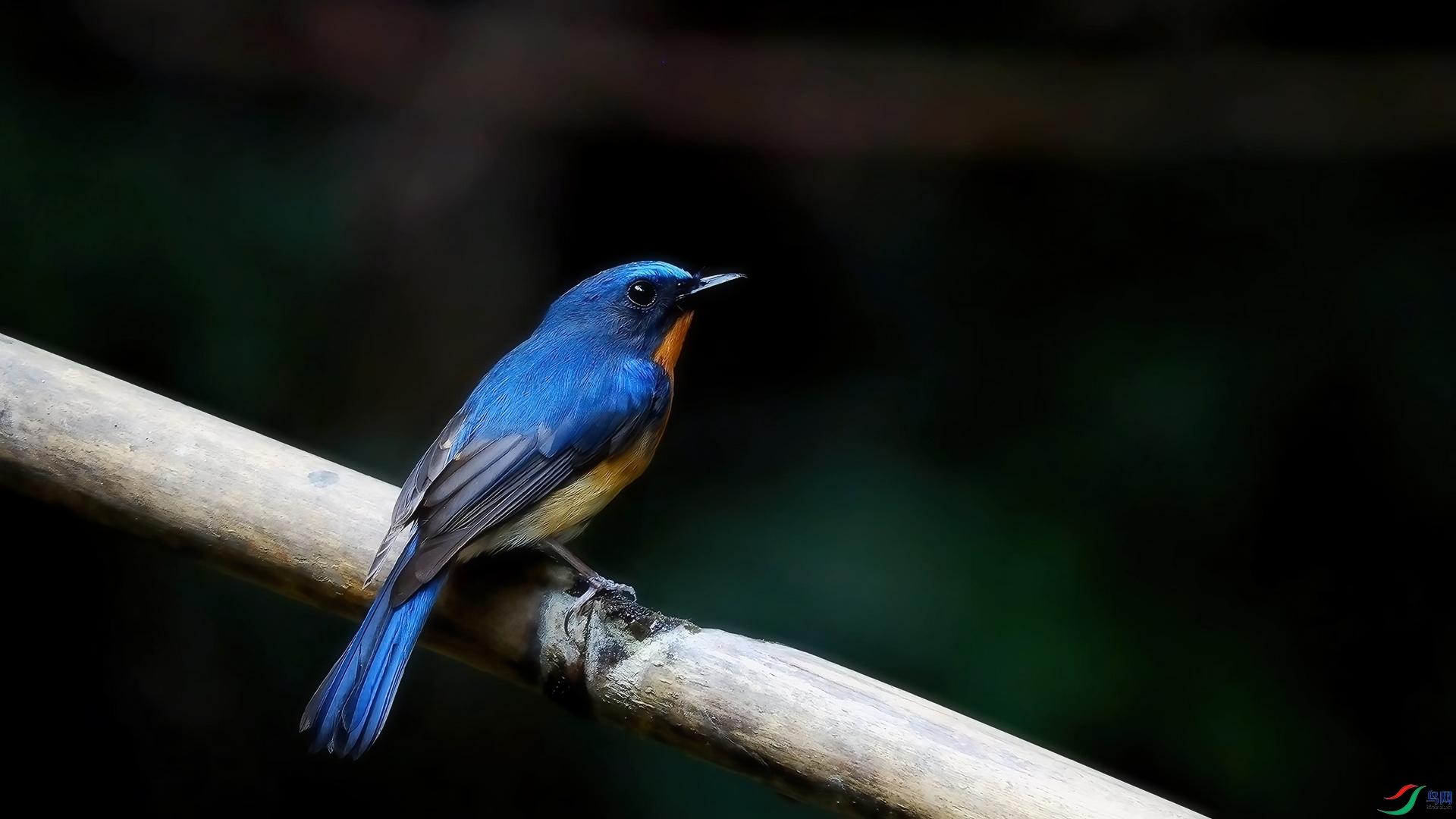 ɽ�����l ����.jpg