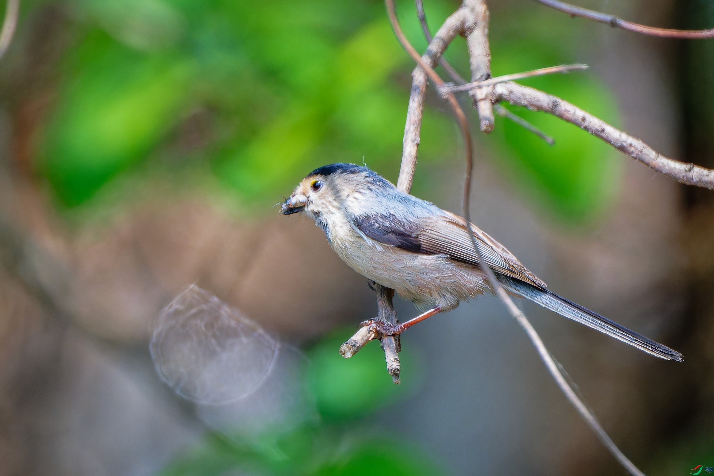 DSC_1281.jpg