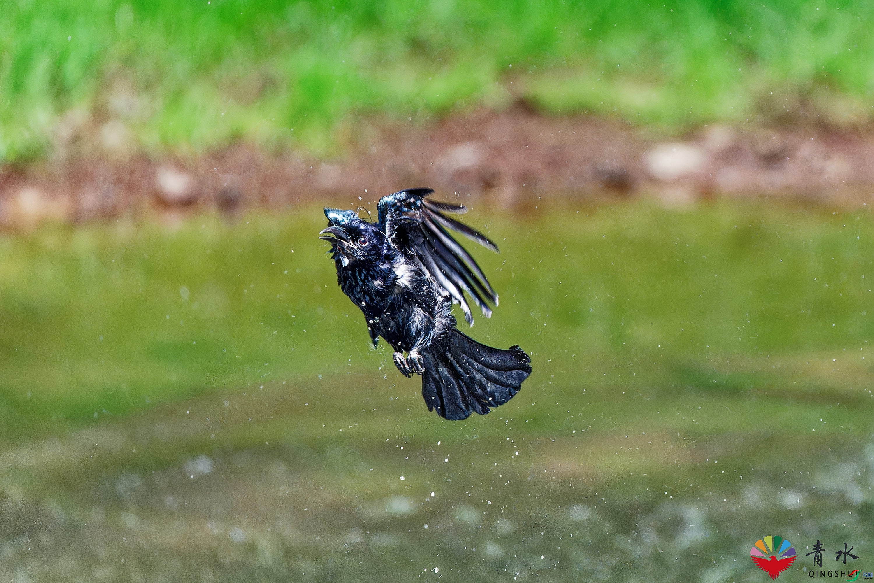 DSC_1281.jpg