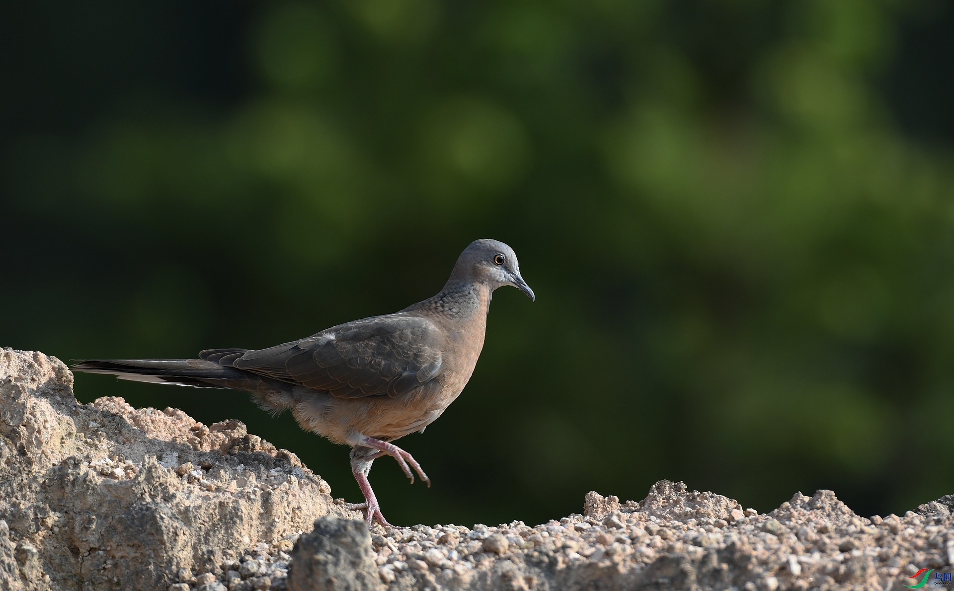 DSC_7751.jpg