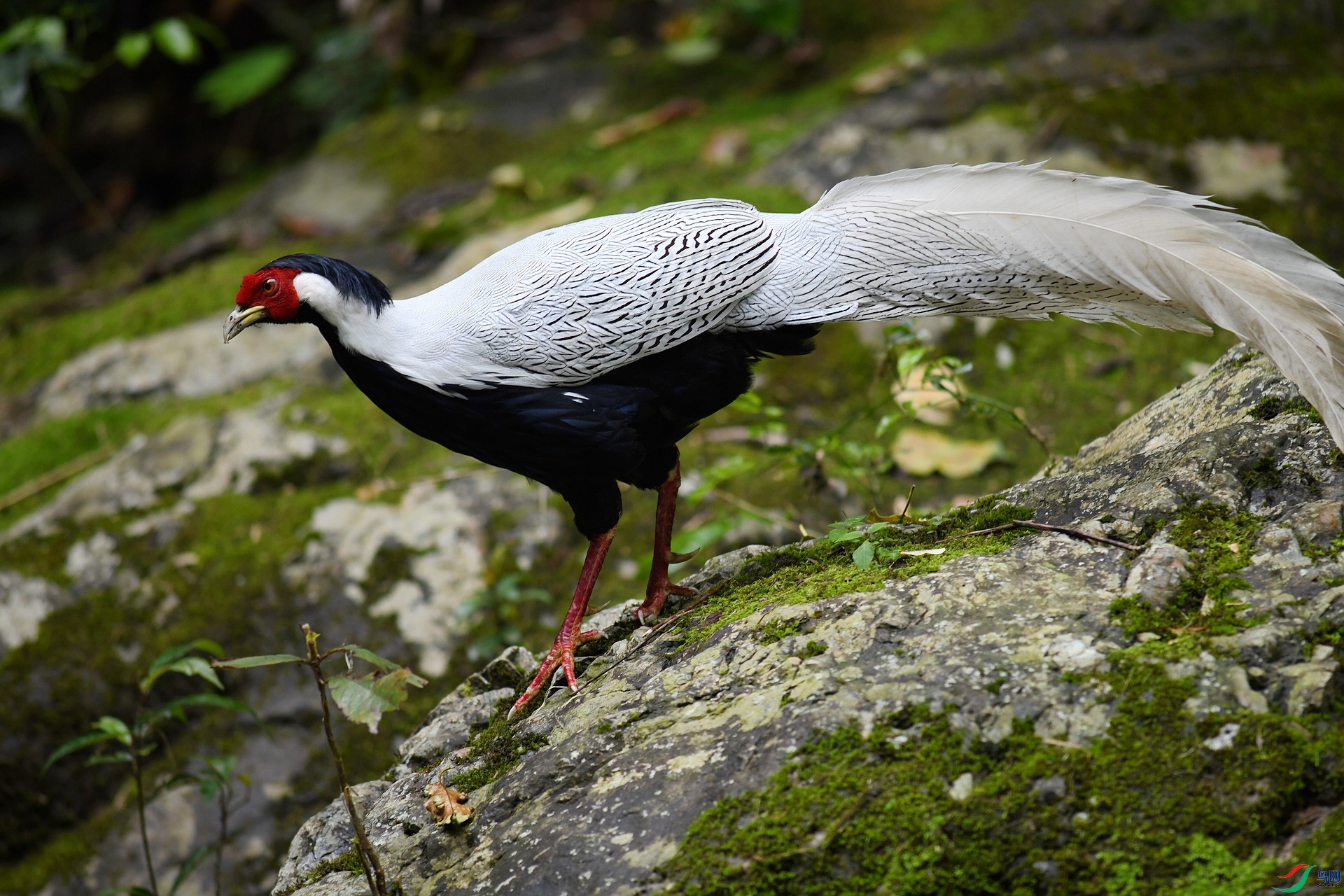 DSC_6254.jpg