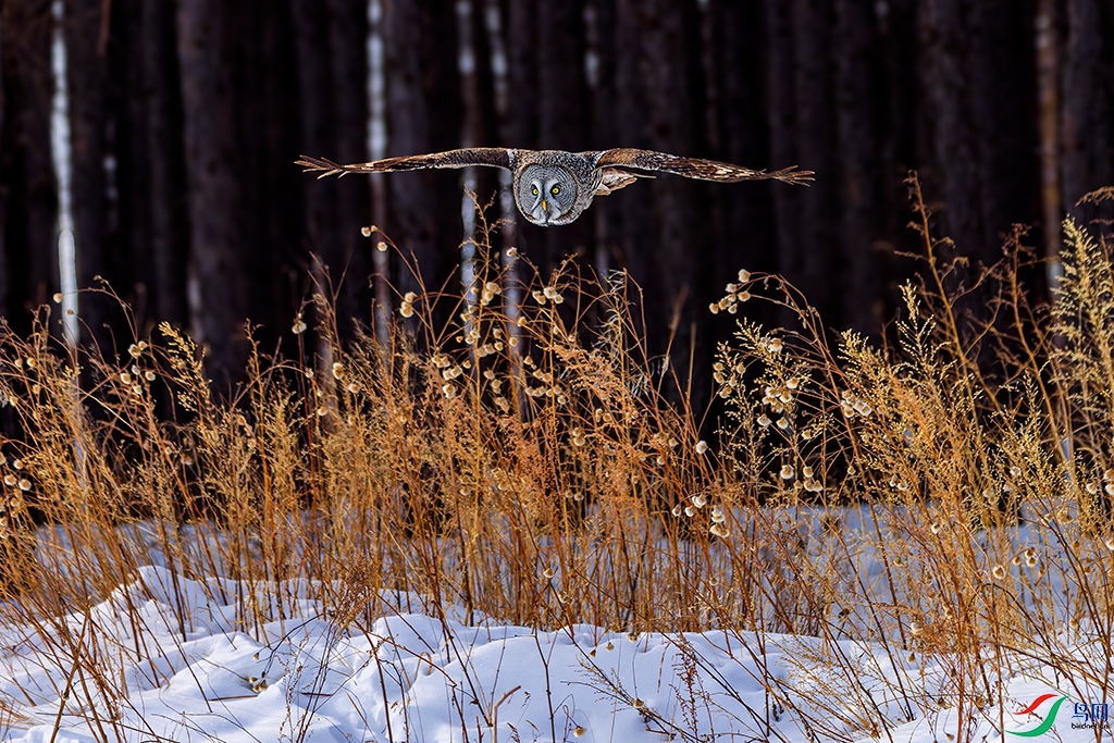 nmghleR5250304  (233)_DxO.jpg