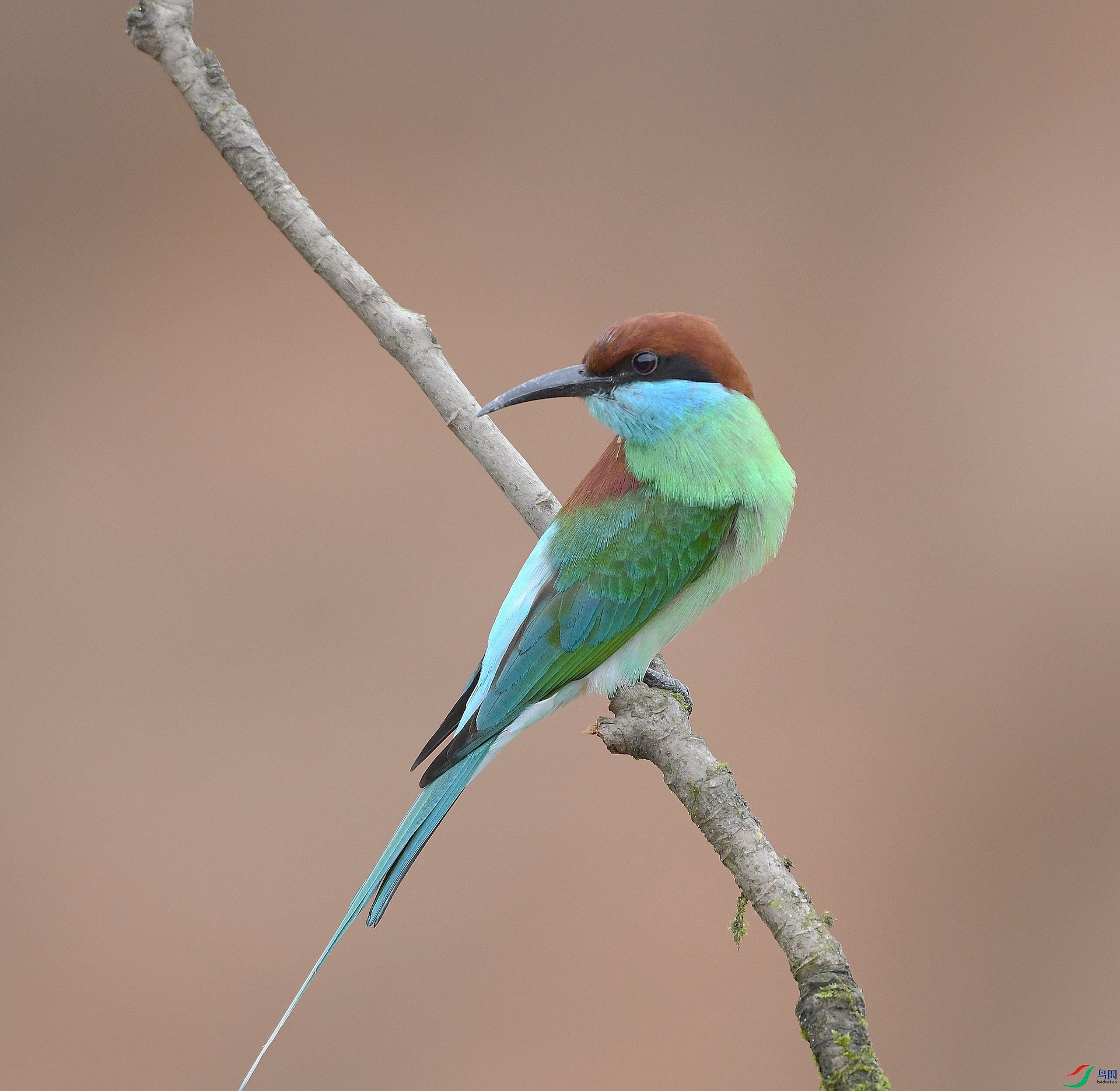 DSC_4577.jpg