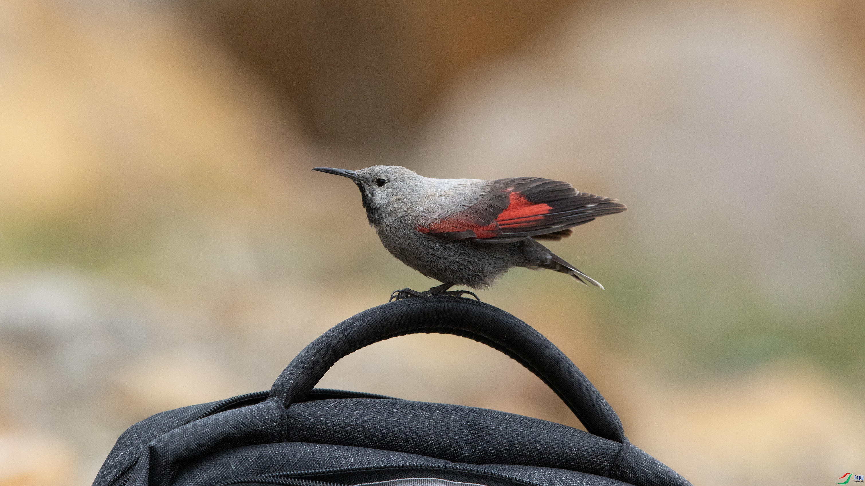 000A9368 ����444.jpg