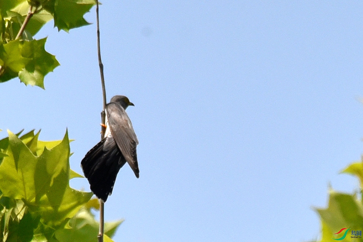 DSC_1273.JPG