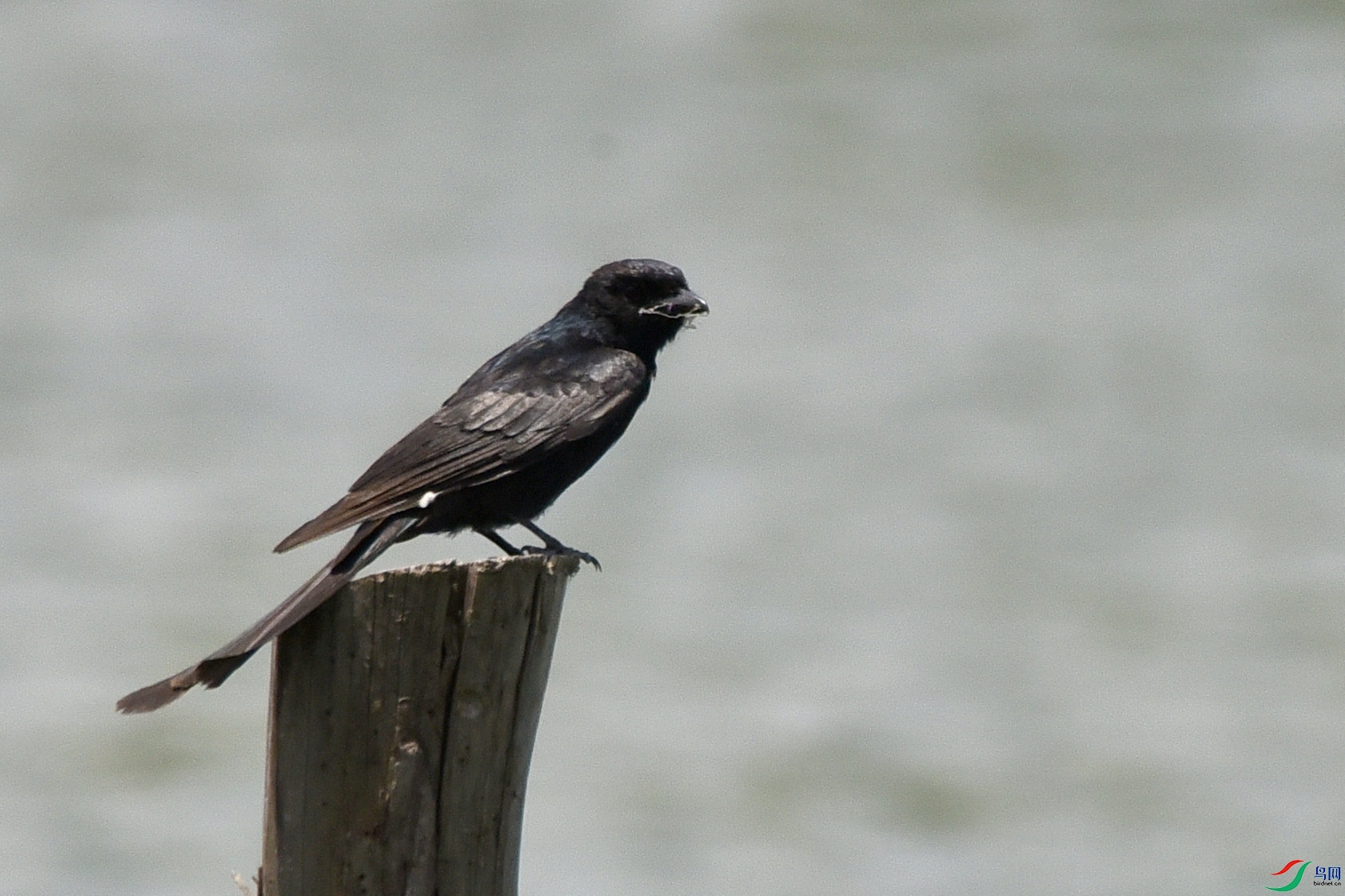 DSC_1503.JPG
