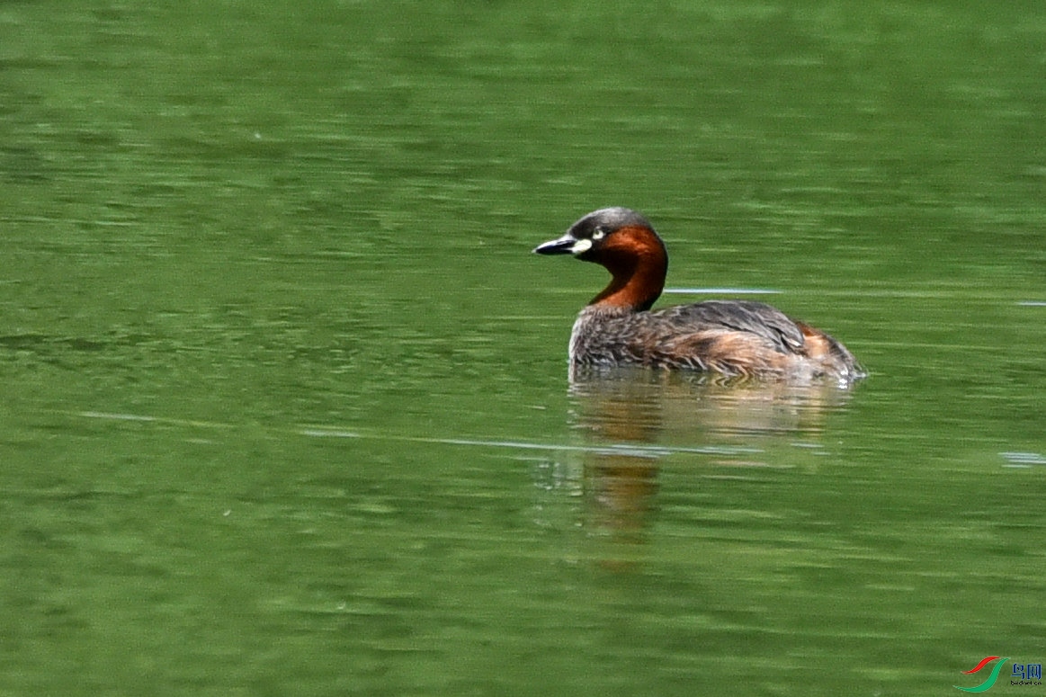 DSC_1629.JPG