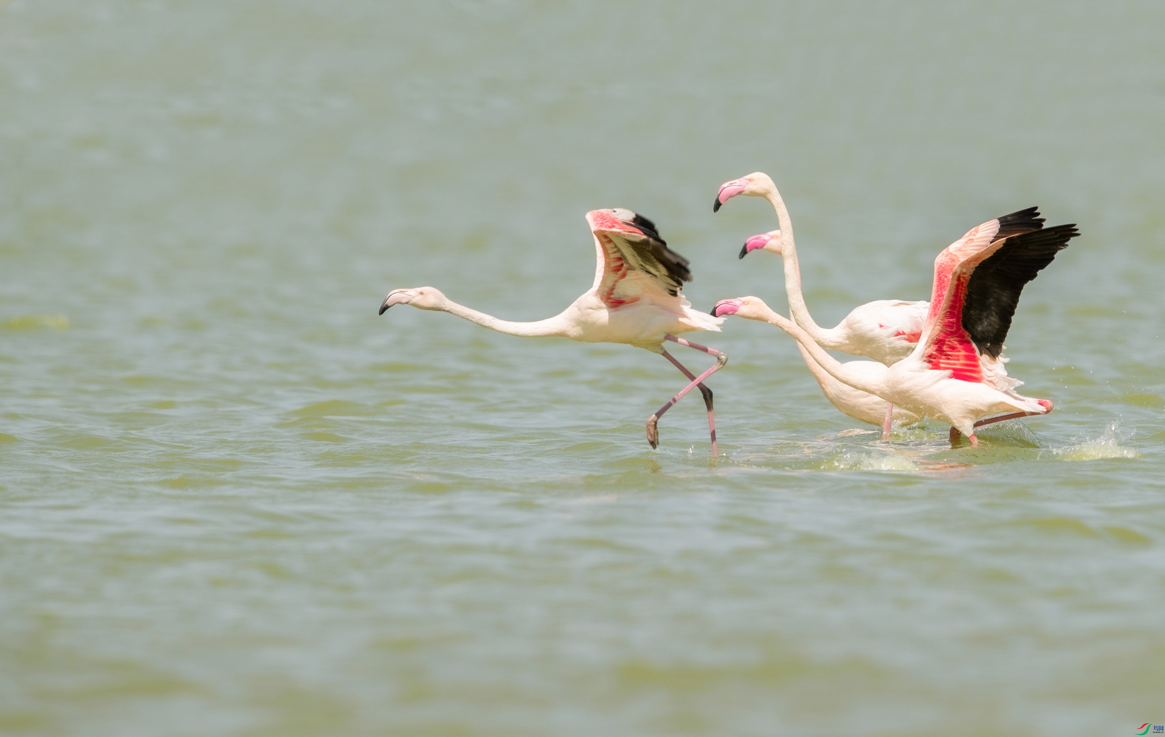 _U4I2276 ���� 2.jpg