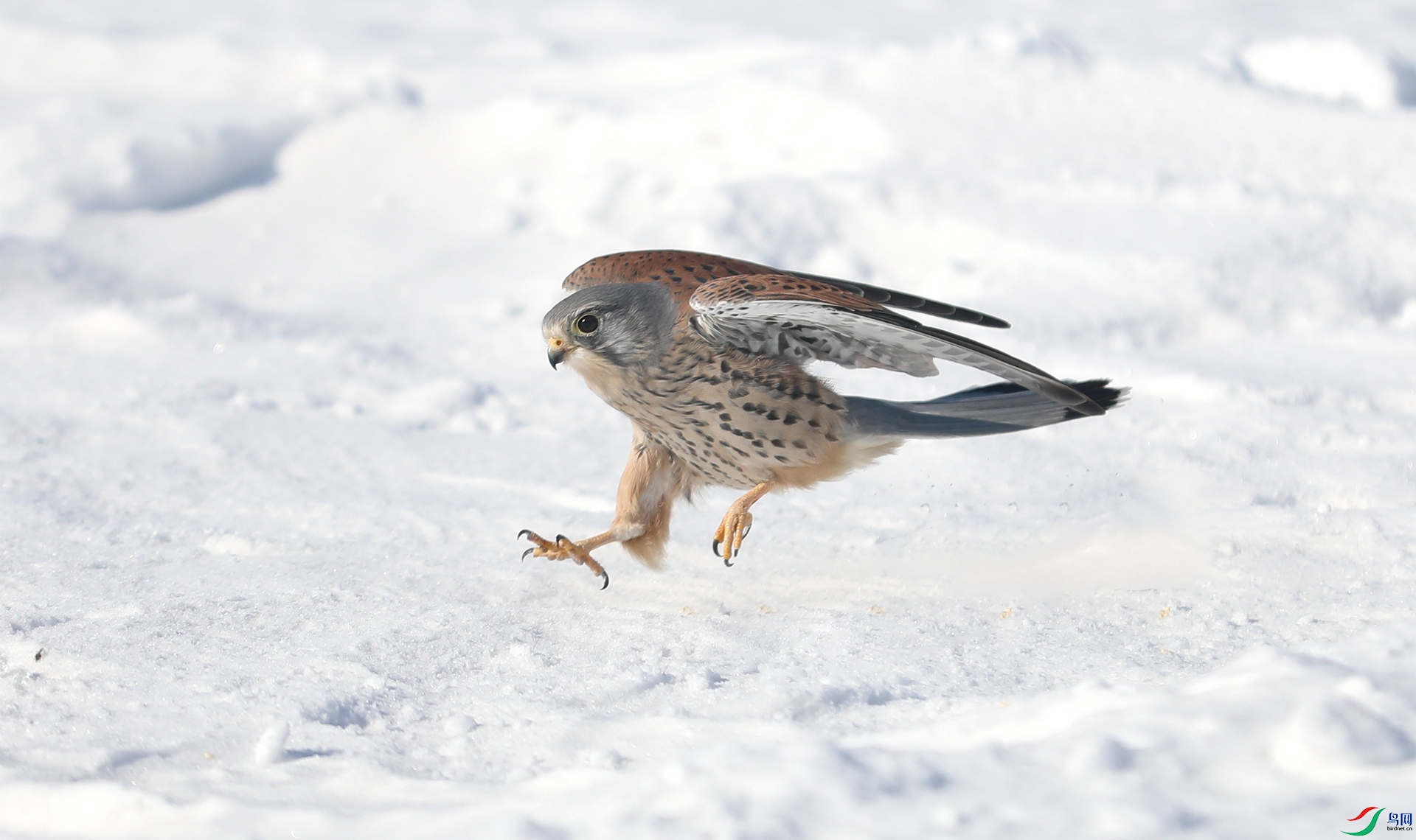 9G8A9380 ����.jpg