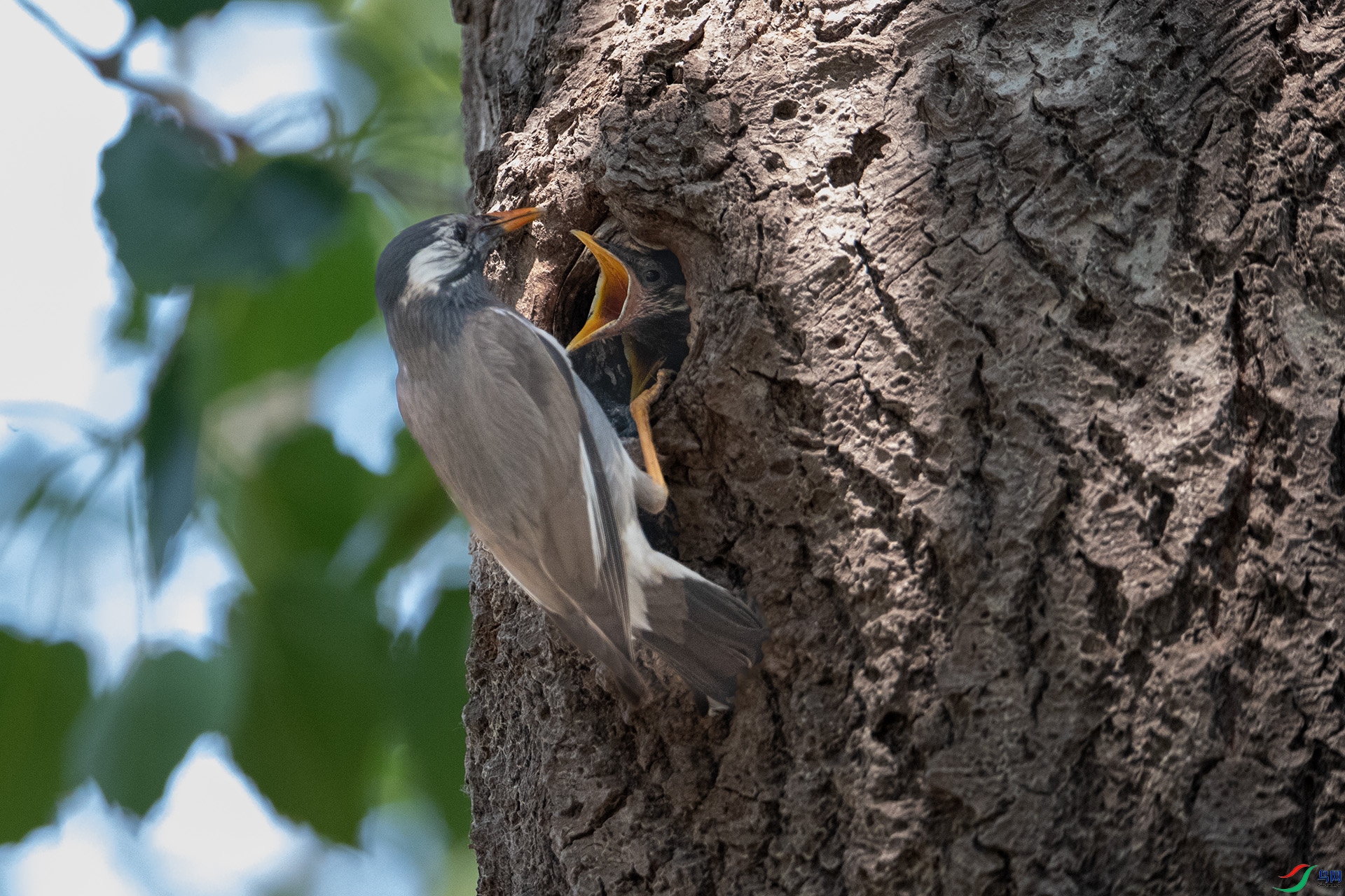 AV6I8380���.jpg