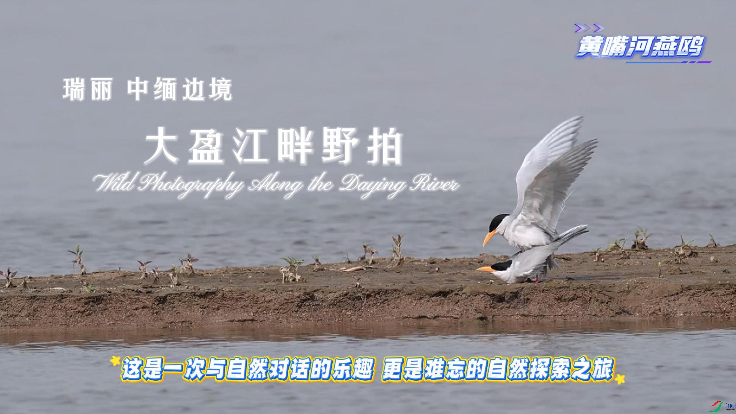 ���� ����߾� ��ӯ����Ұ��-����.jpg