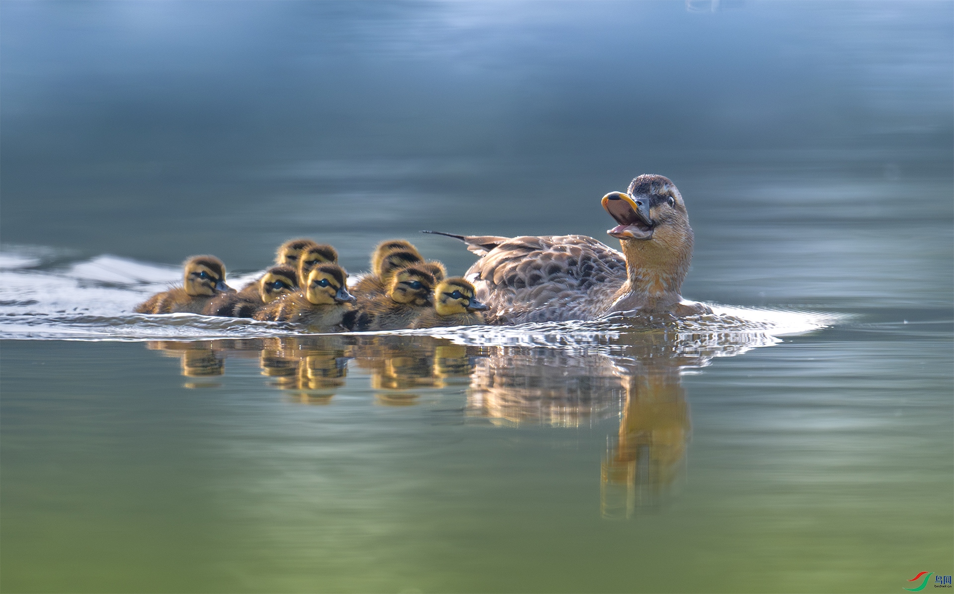 ����DSC_0692.jpg