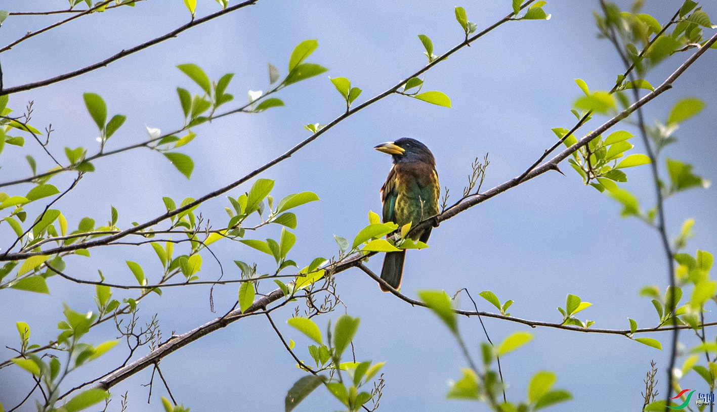 _DSC1961 ����.jpg