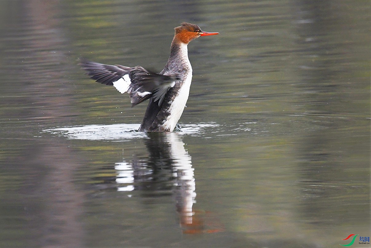 DSC_2300_.jpg