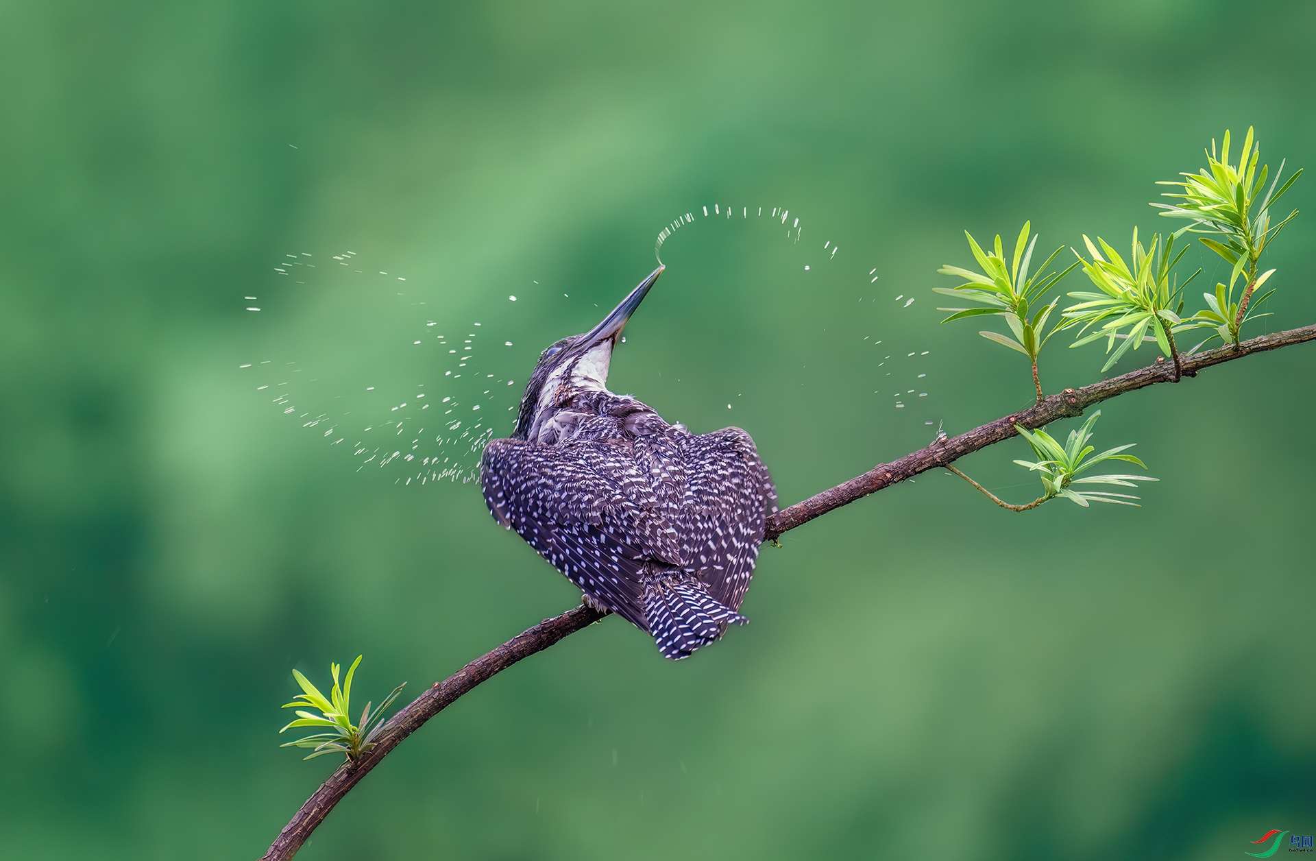 ����չʾ��I love you!.jpg