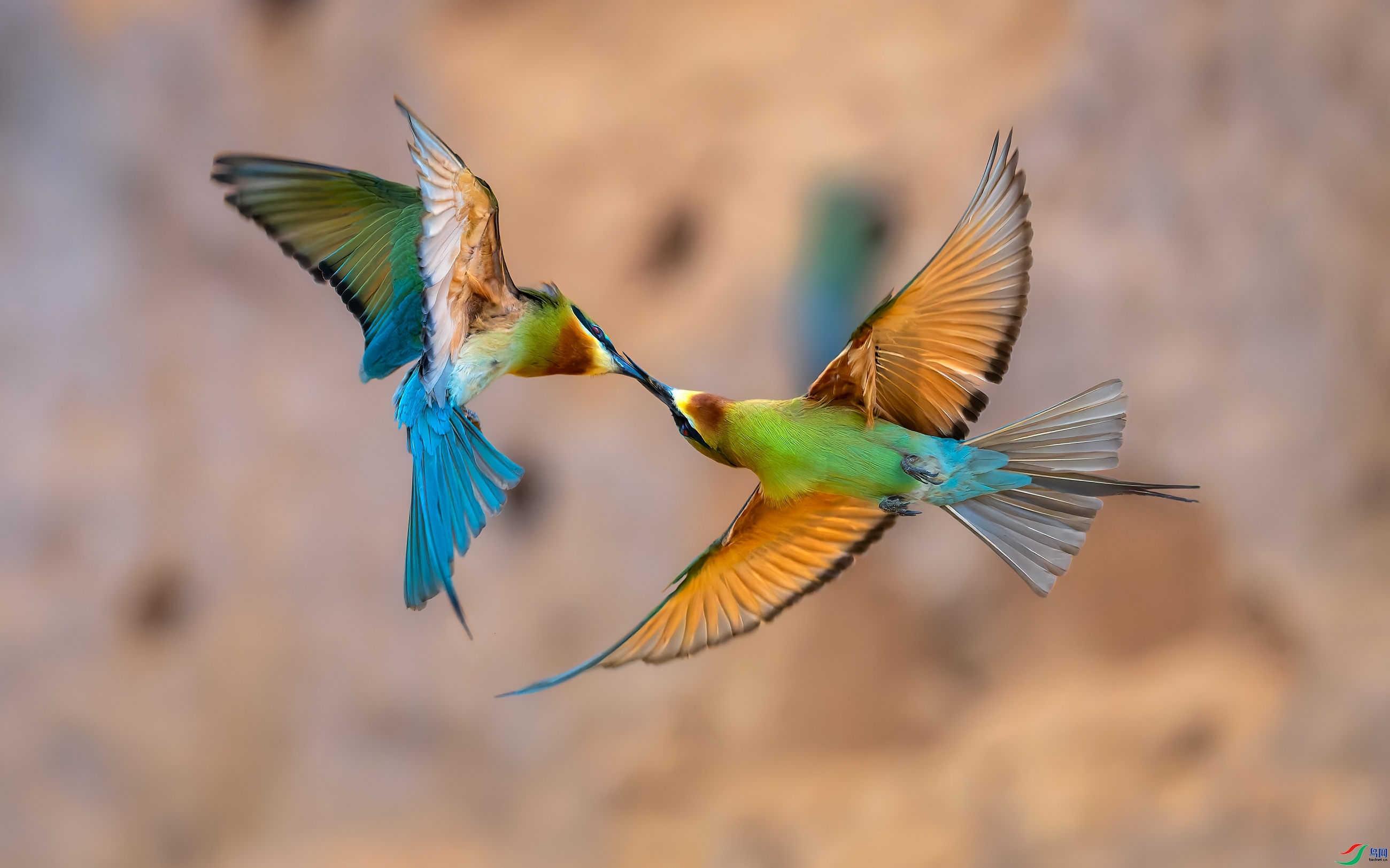 ���д�  ���� ����Ӱ ��һ.jpg