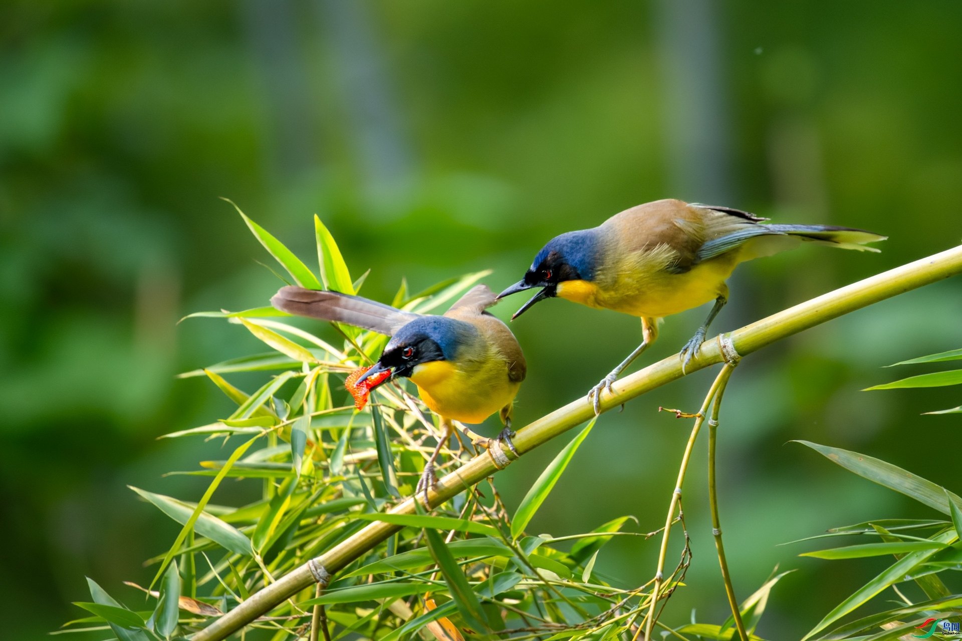 �����  ���� ɽɽɽ ��һ.jpg