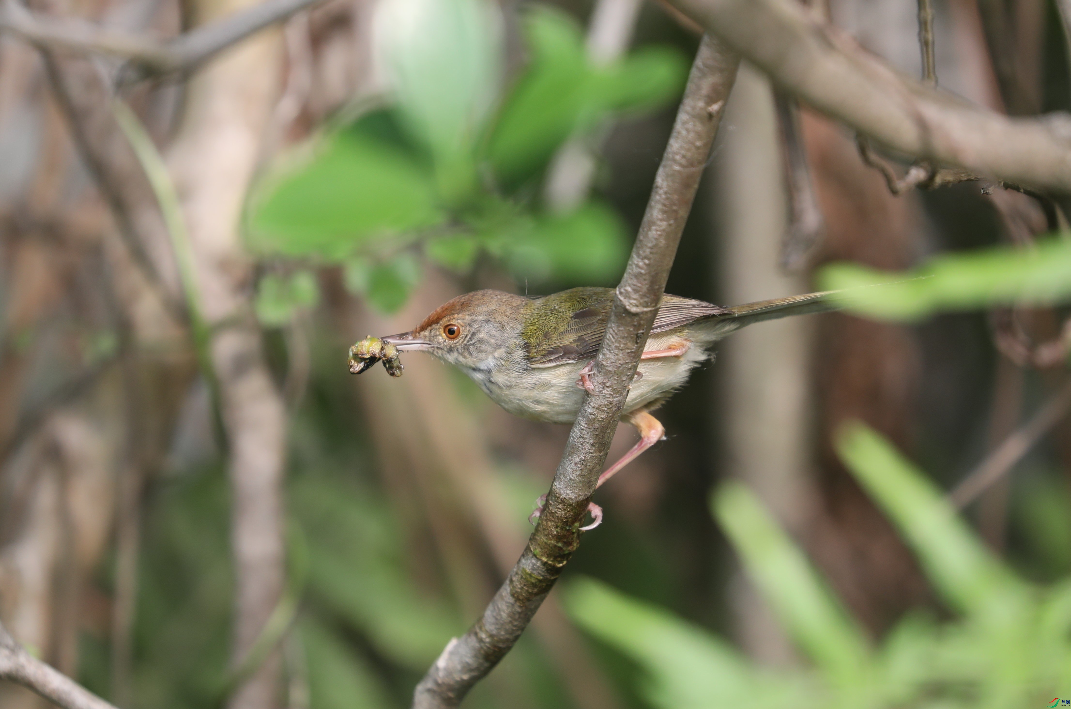 BL7A7380.JPG