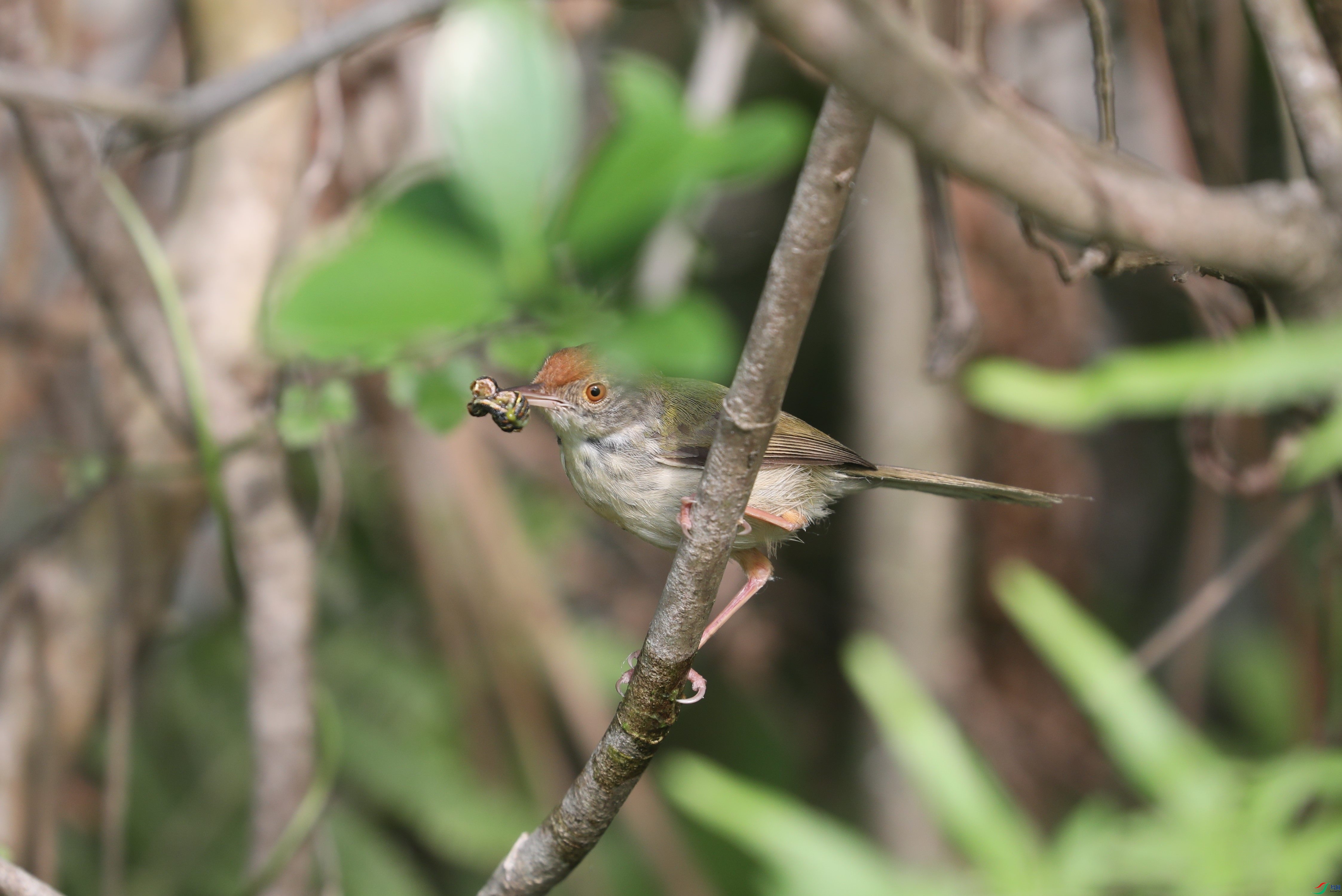 BL7A7391.JPG