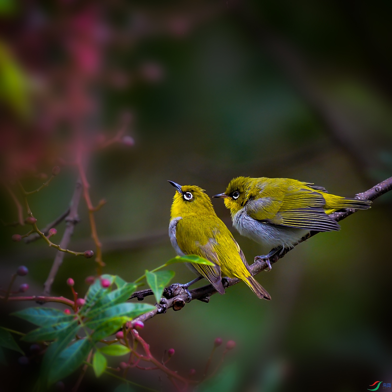 DSC_8452.jpg