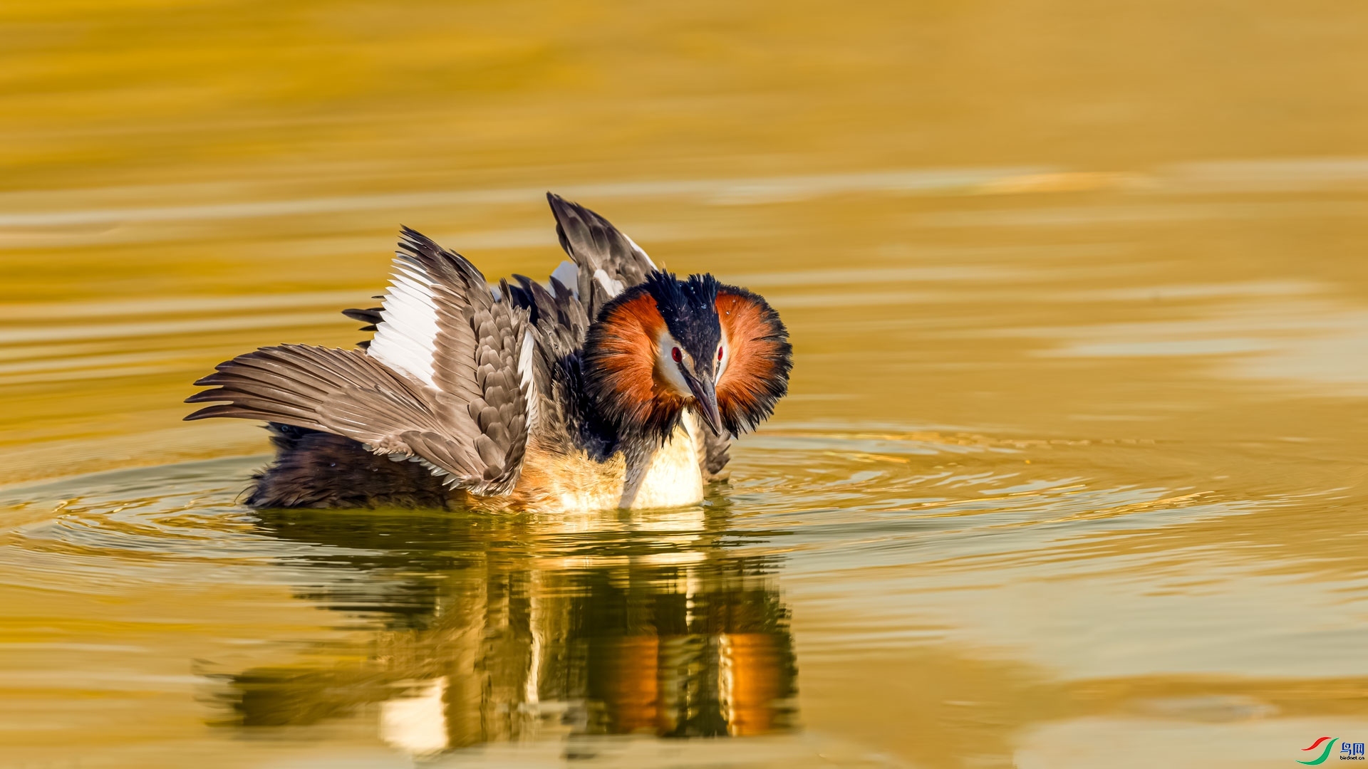 Ϊ������  ���� ɳ���Խ� ����.jpg