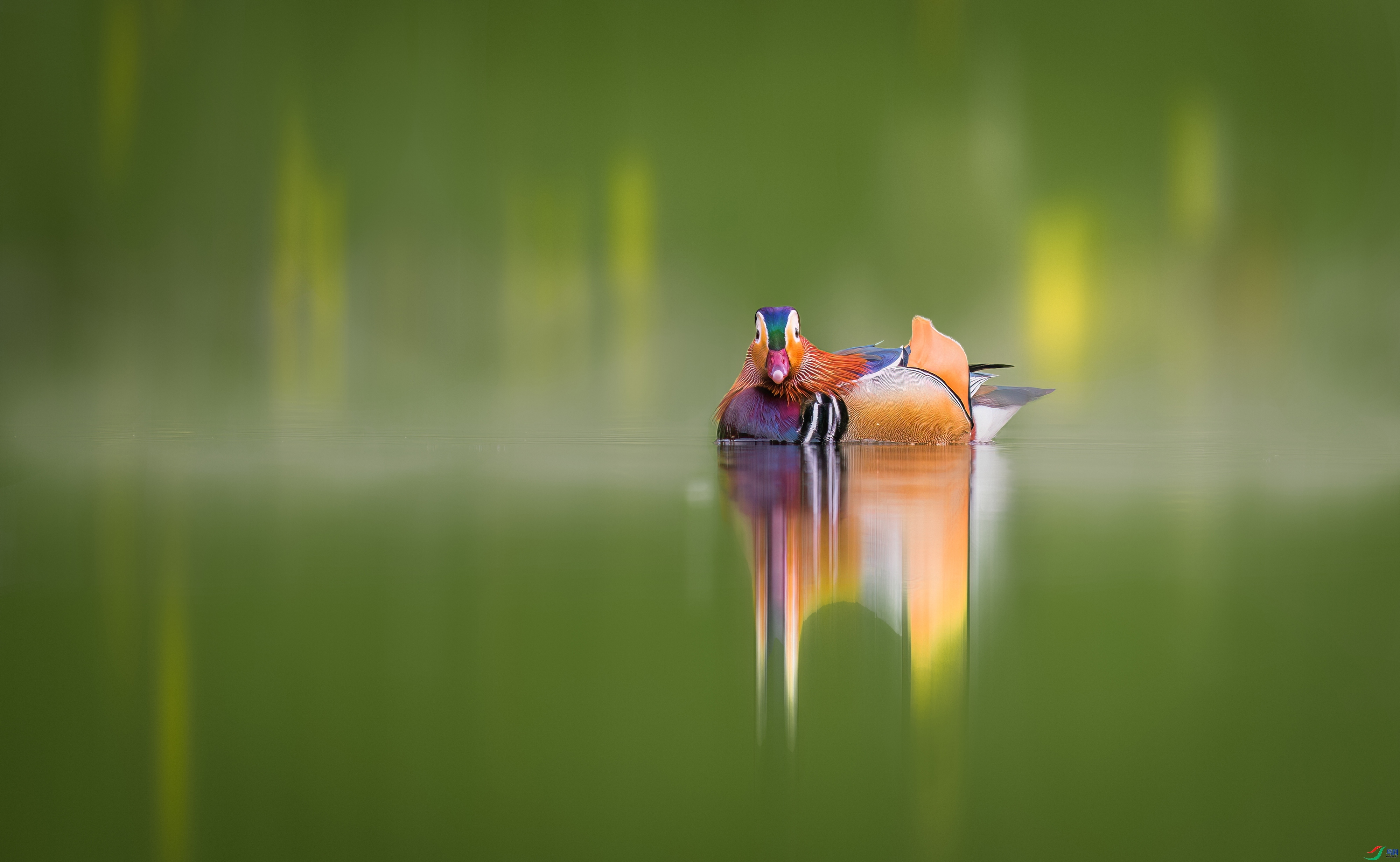 ԧ��ϲ�������ĺ��� ���� 춼ͷ� ����.jpg