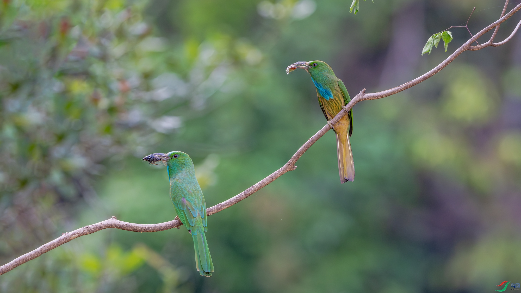 Z18_5355.jpg