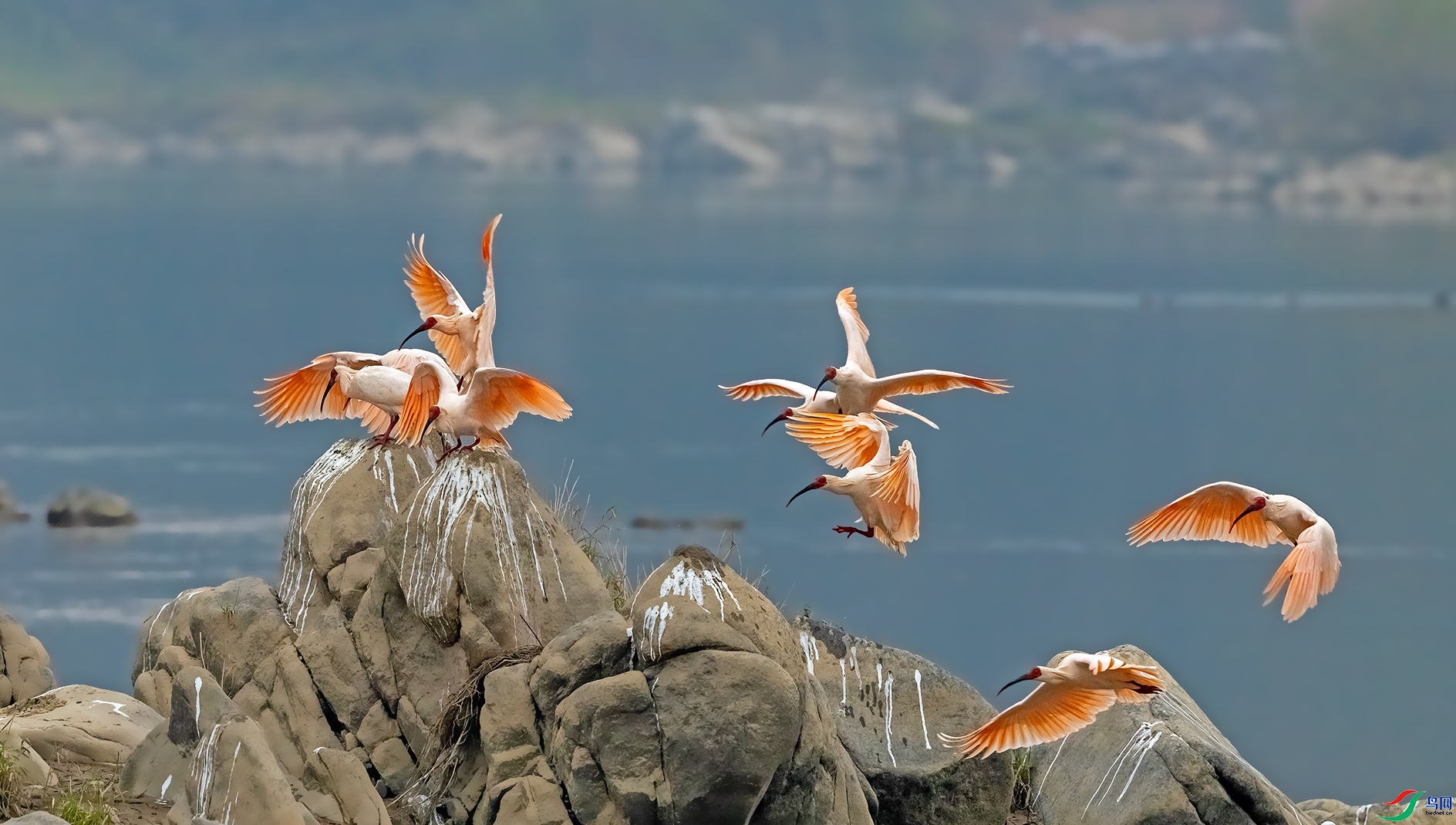 ���ȿֺ� ���� ������� ����.jpg