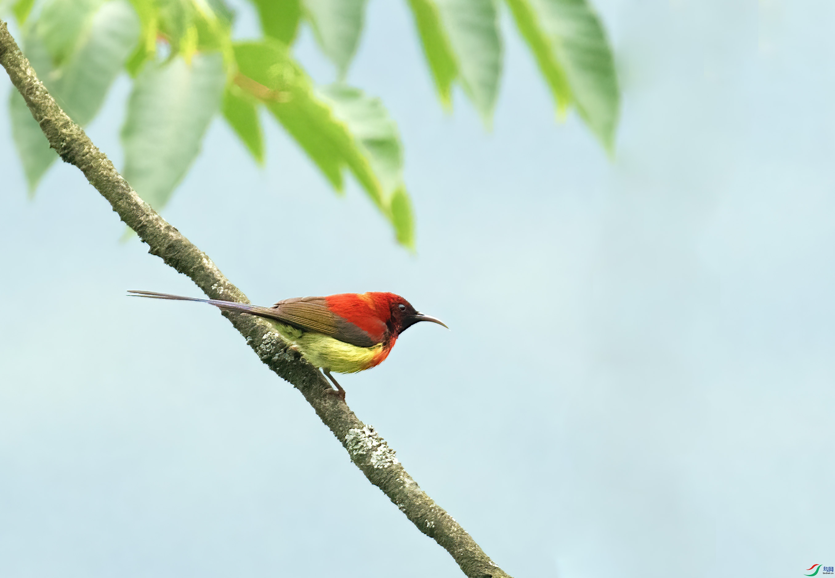 8X2A0640 ����.jpg