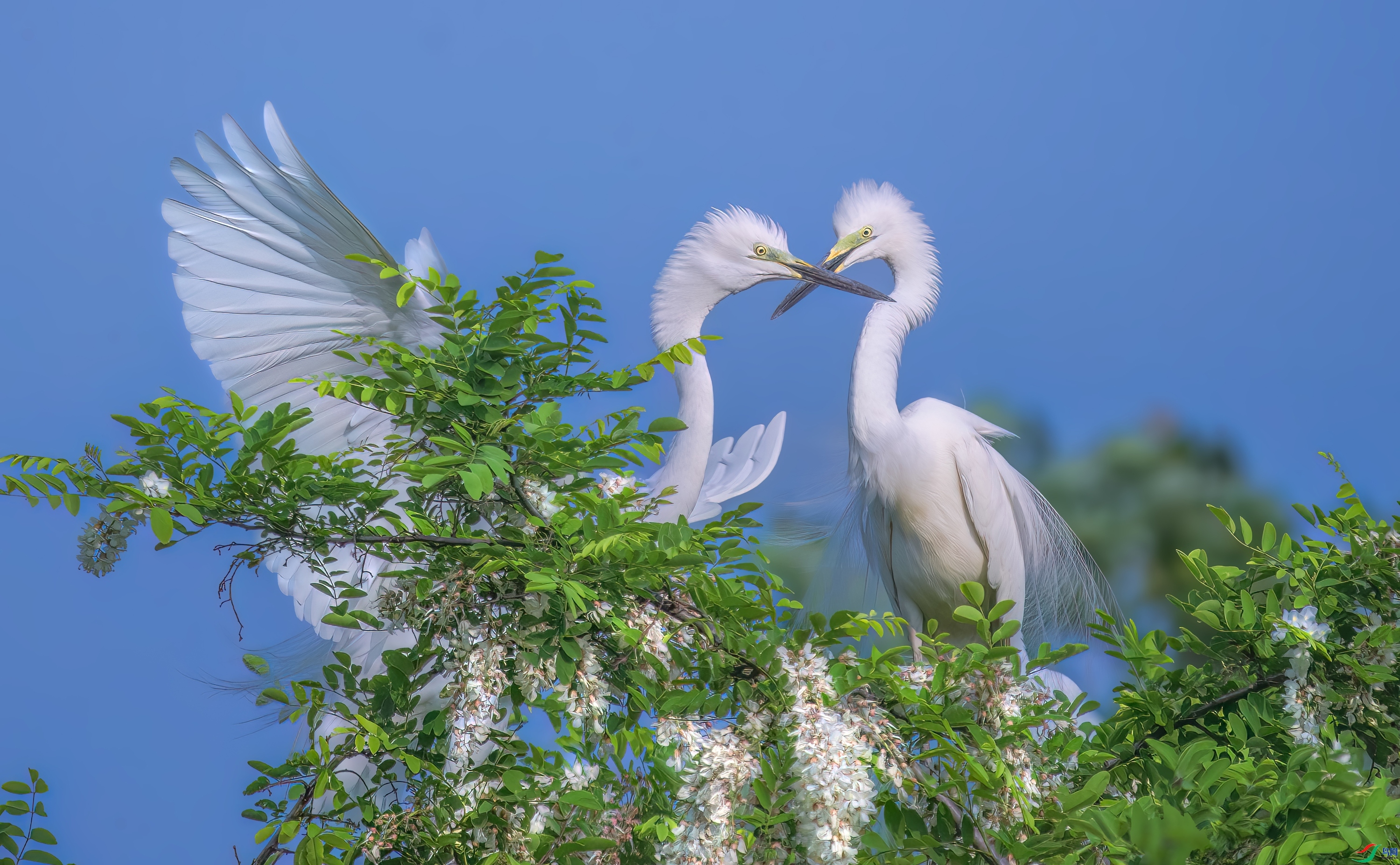 �������� ���� 춼ͷ� ����.jpg