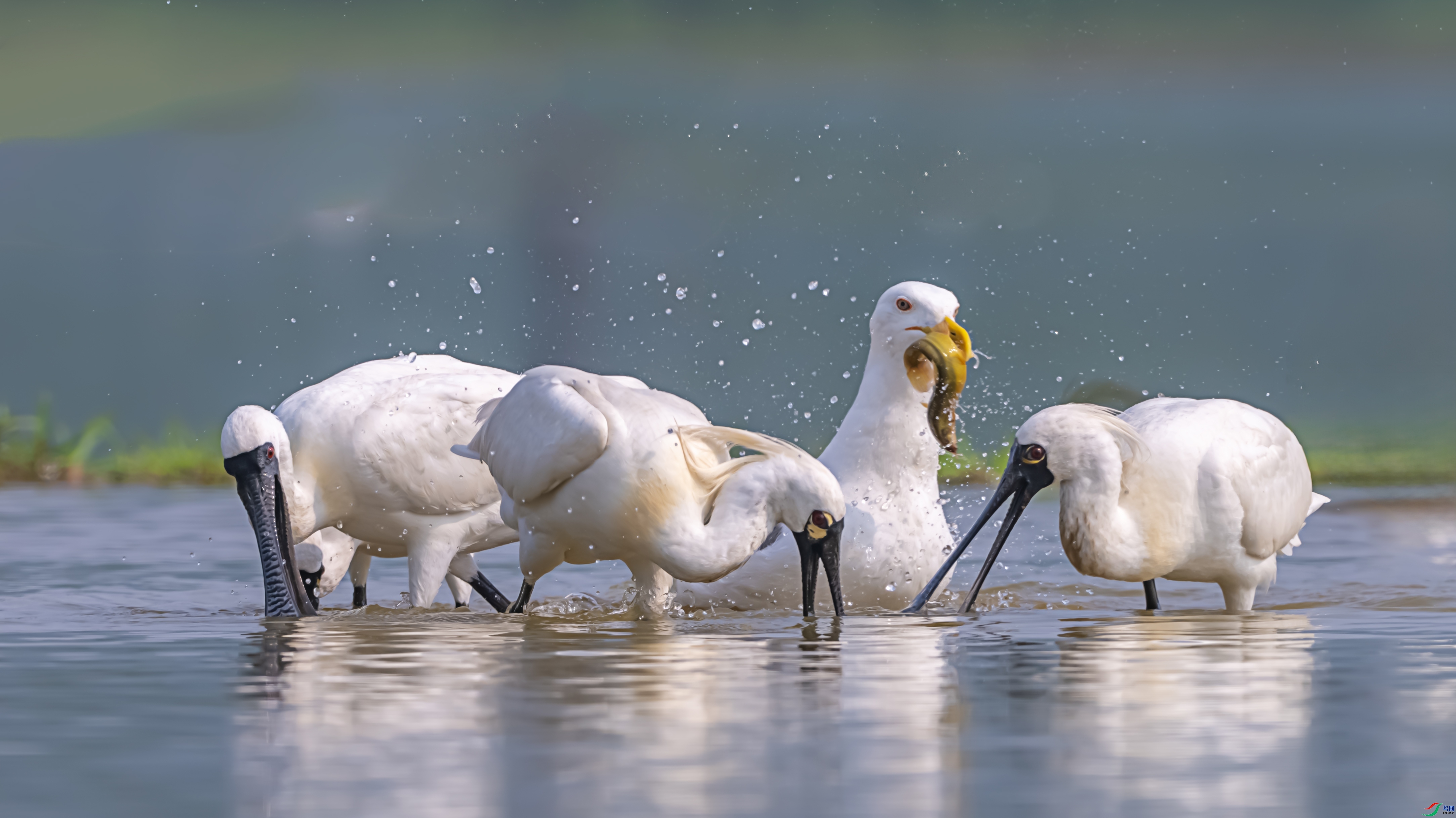 ����һ��  ���� ������ͷ ����.jpg