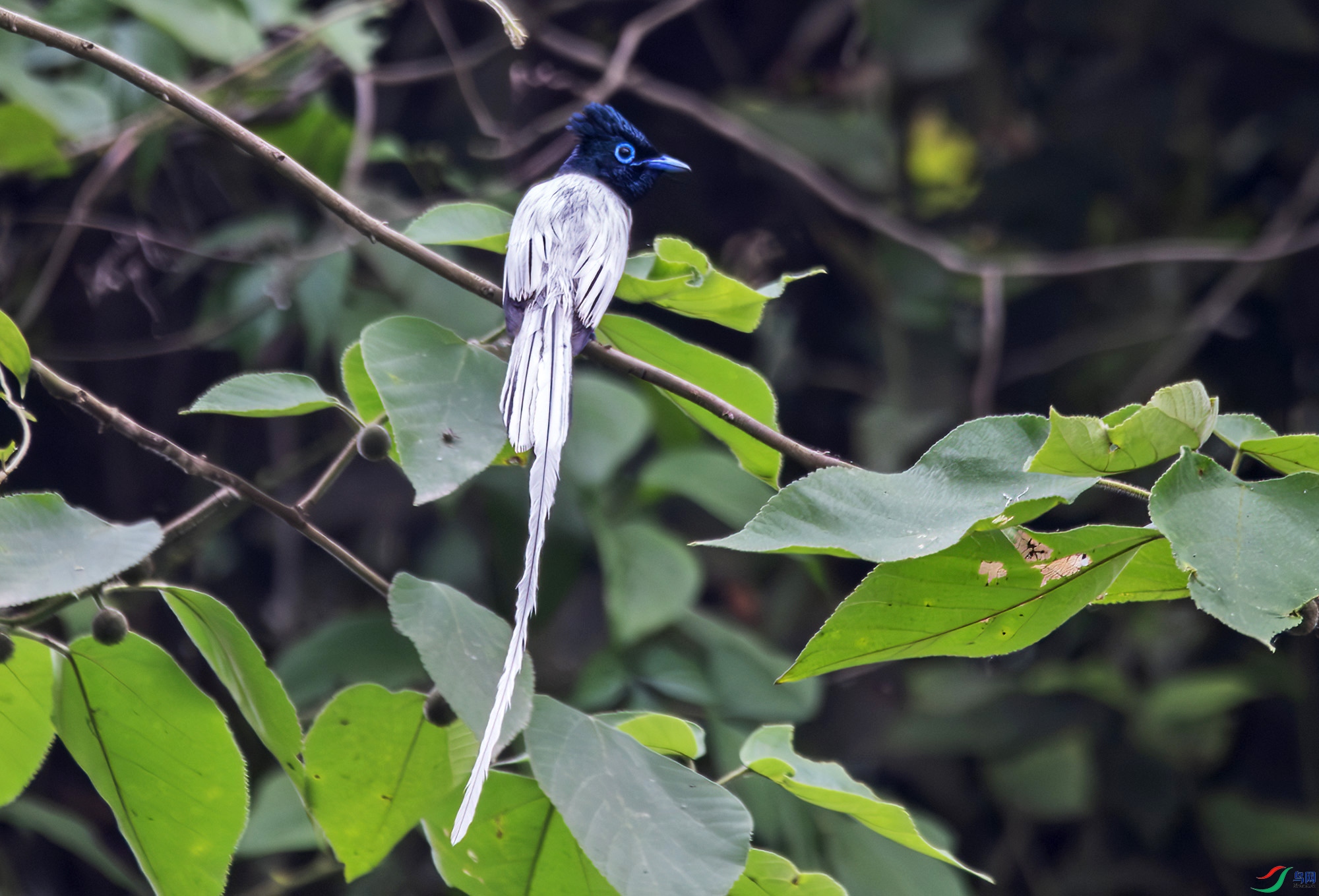 DSC_9254-����ǿ-NR ���� 2.jpg