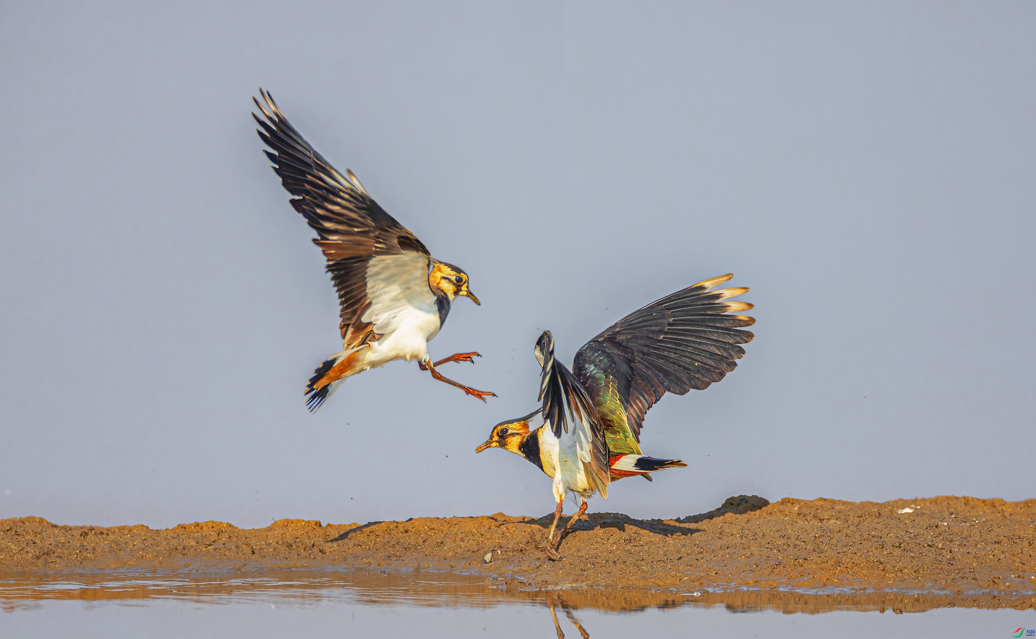 �� ���� �ܸ� ����.jpg