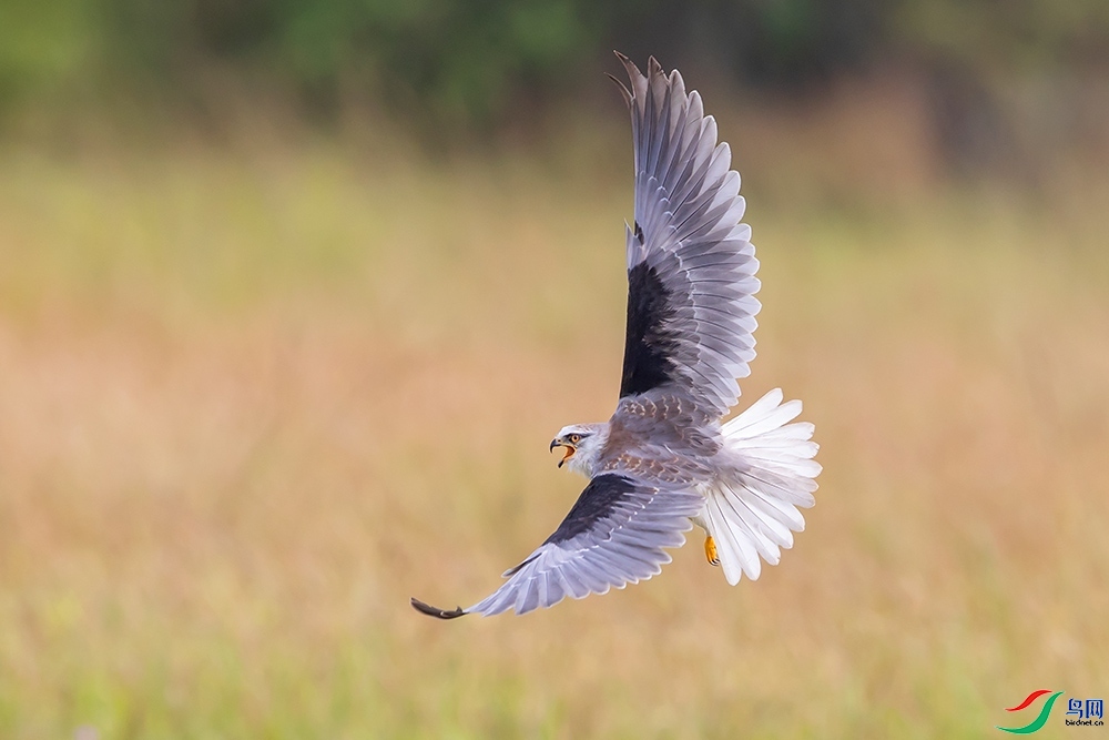 ���߷�  ���� ���ַ� ����.jpg