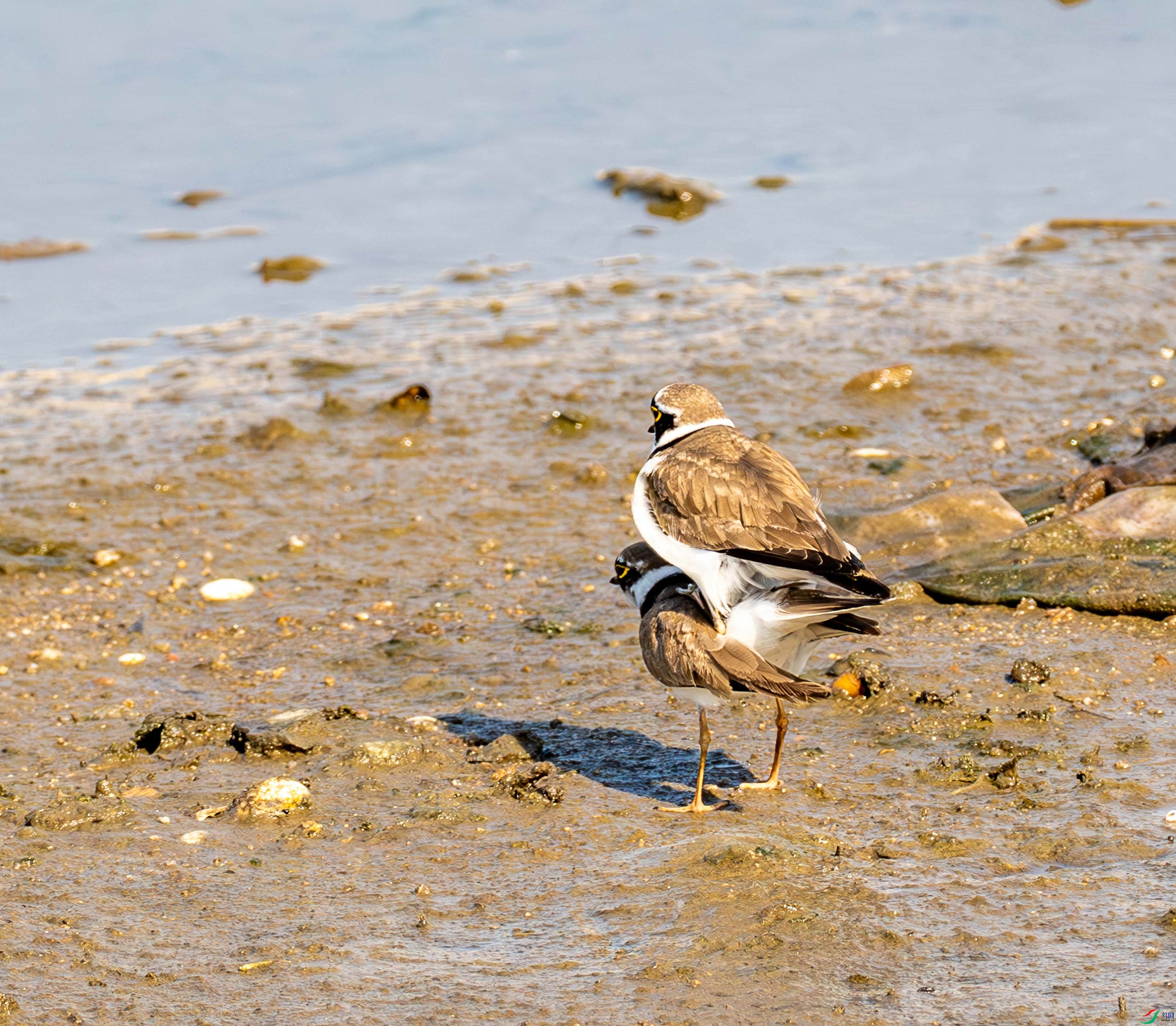 ����a (1 - 9).jpg